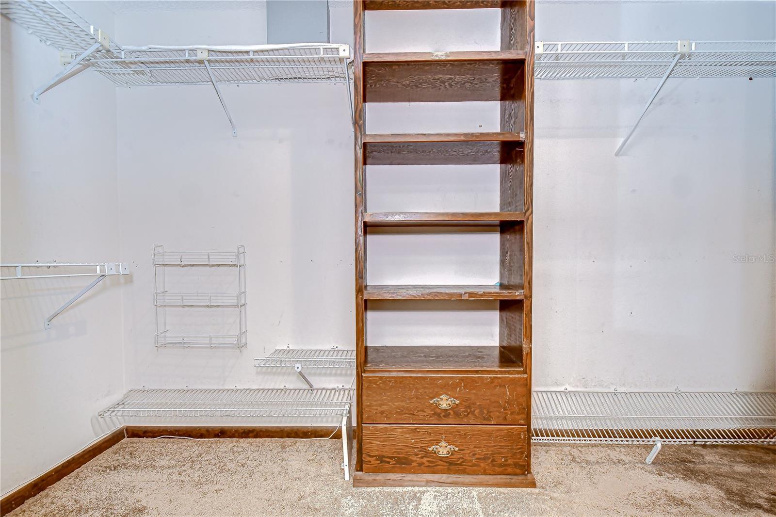 13903 WOLCOTT DR, TAMPA, FL, 33624