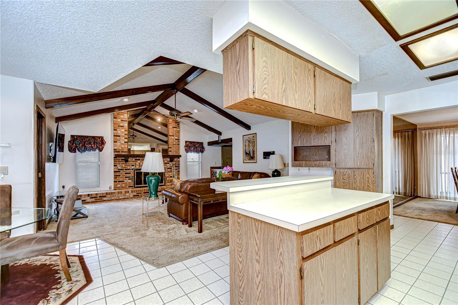 13903 WOLCOTT DR, TAMPA, FL, 33624