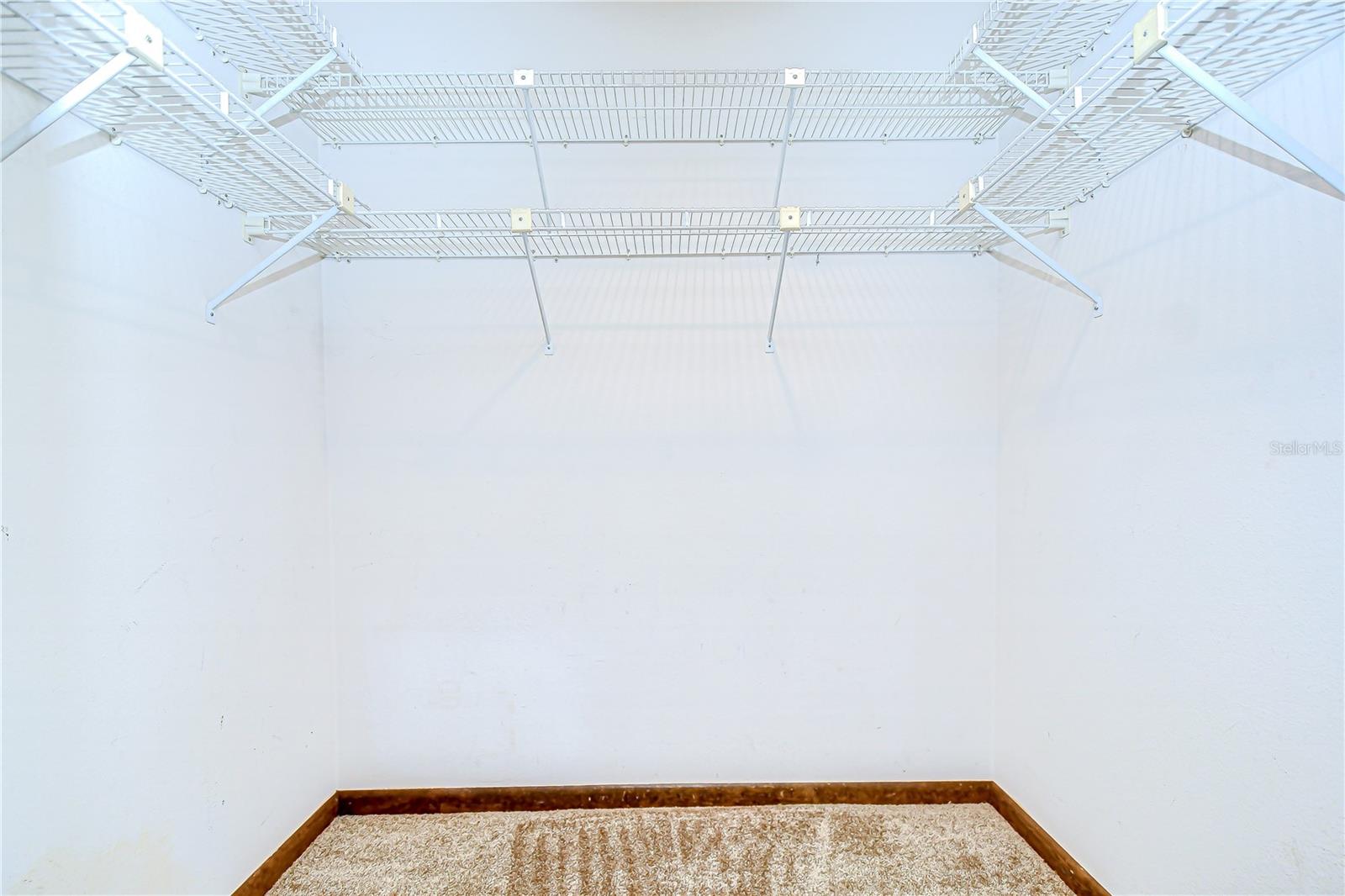 13903 WOLCOTT DR, TAMPA, FL, 33624