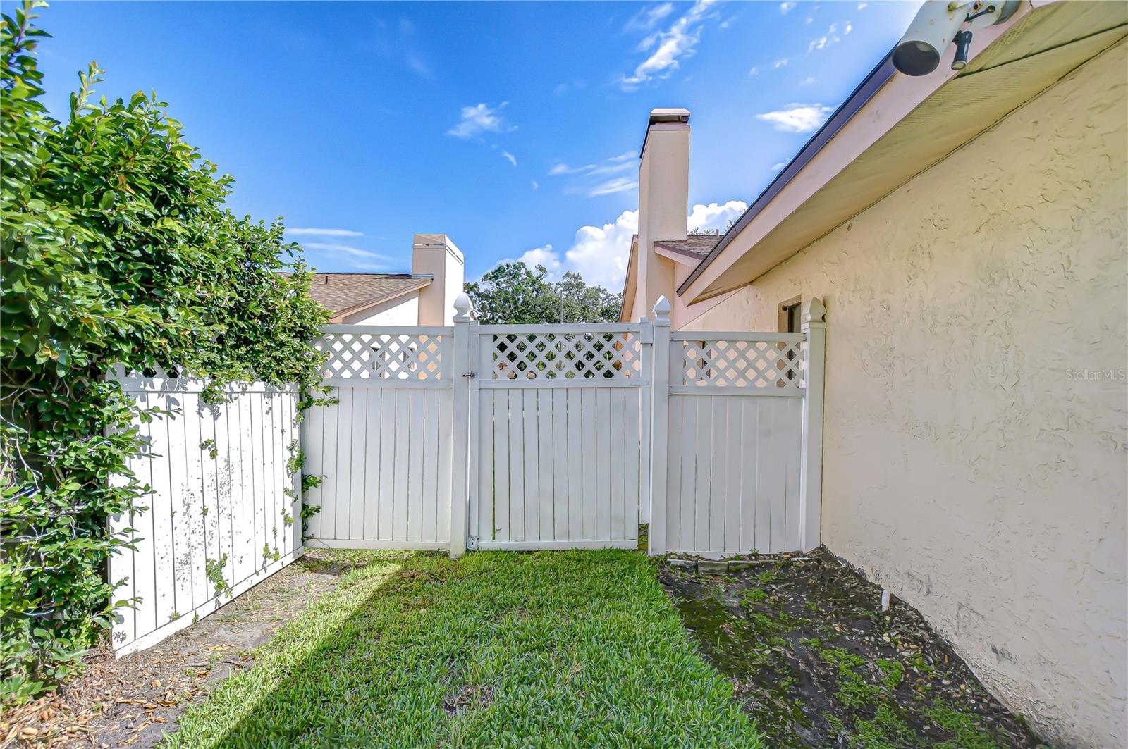 13903 WOLCOTT DR, TAMPA, FL, 33624