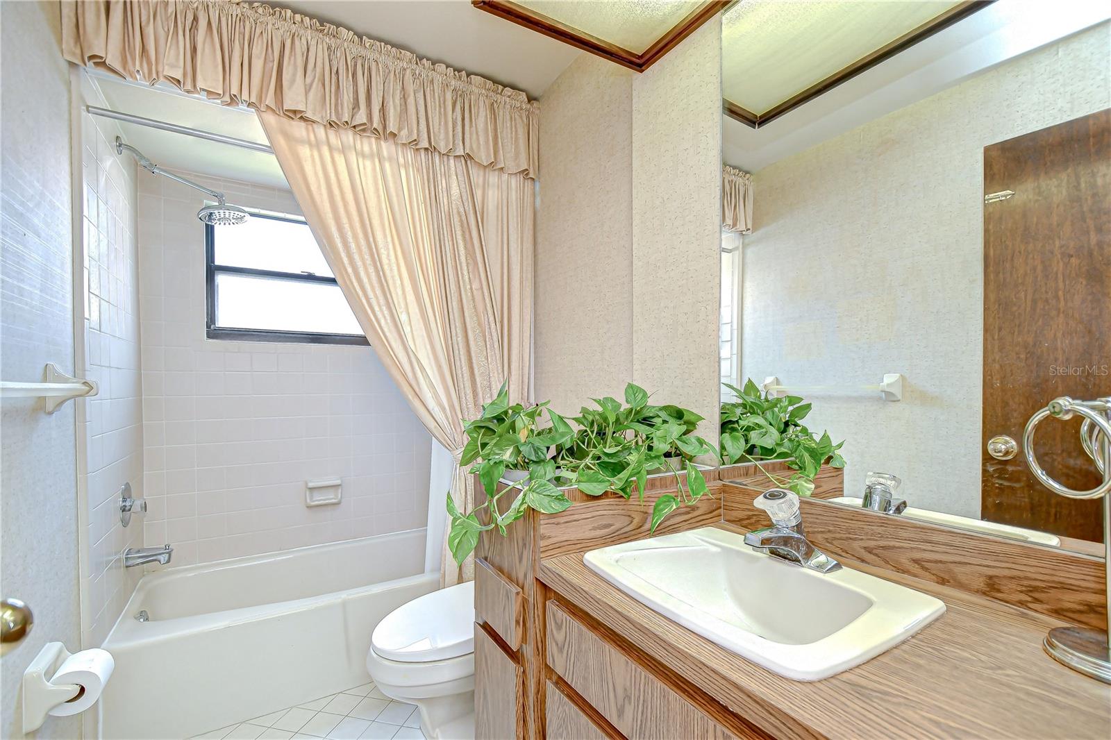 13903 WOLCOTT DR, TAMPA, FL, 33624