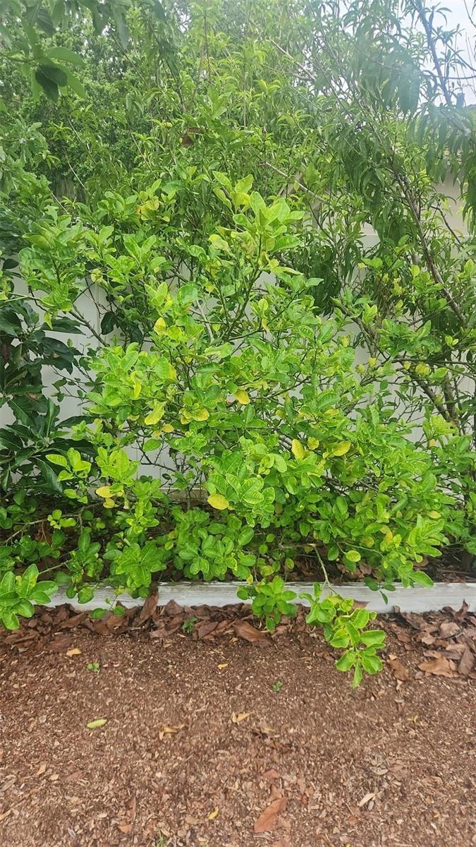 2832 BUCCANEER DR, WINTER PARK, FL, 32792