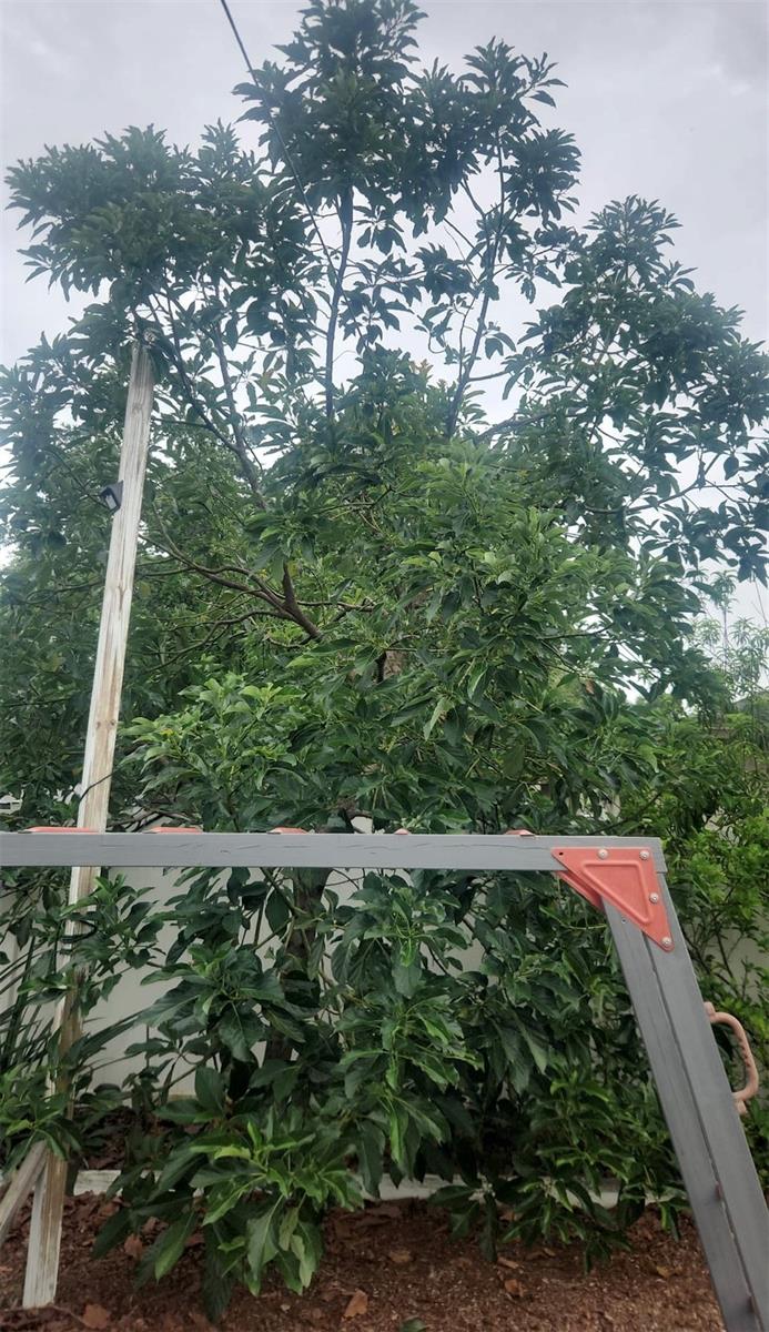 2832 BUCCANEER DR, WINTER PARK, FL, 32792