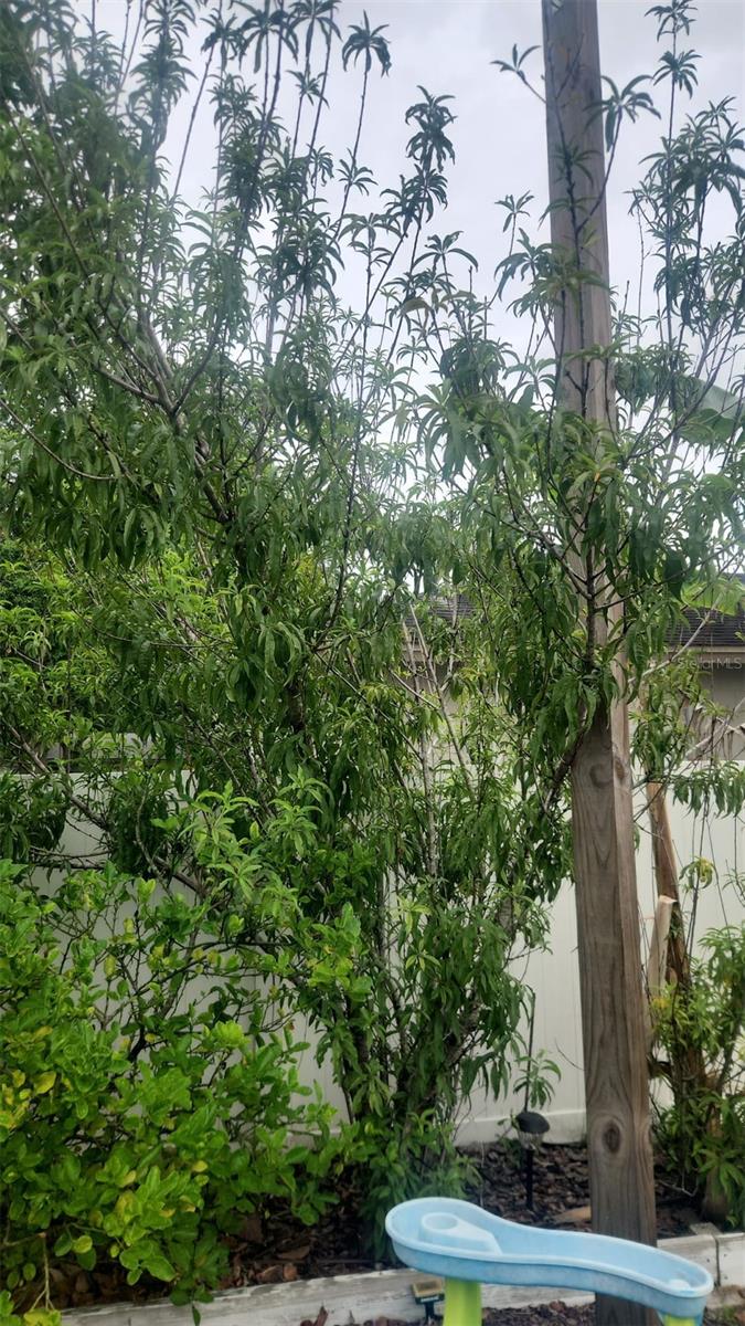 2832 BUCCANEER DR, WINTER PARK, FL, 32792