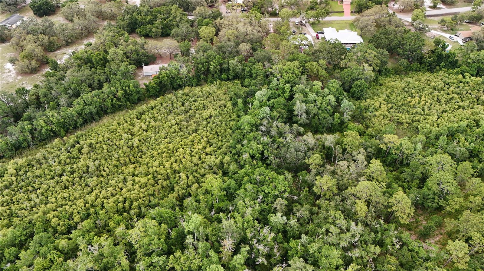 TAMI TRAIL, HUDSON, FL, 34669