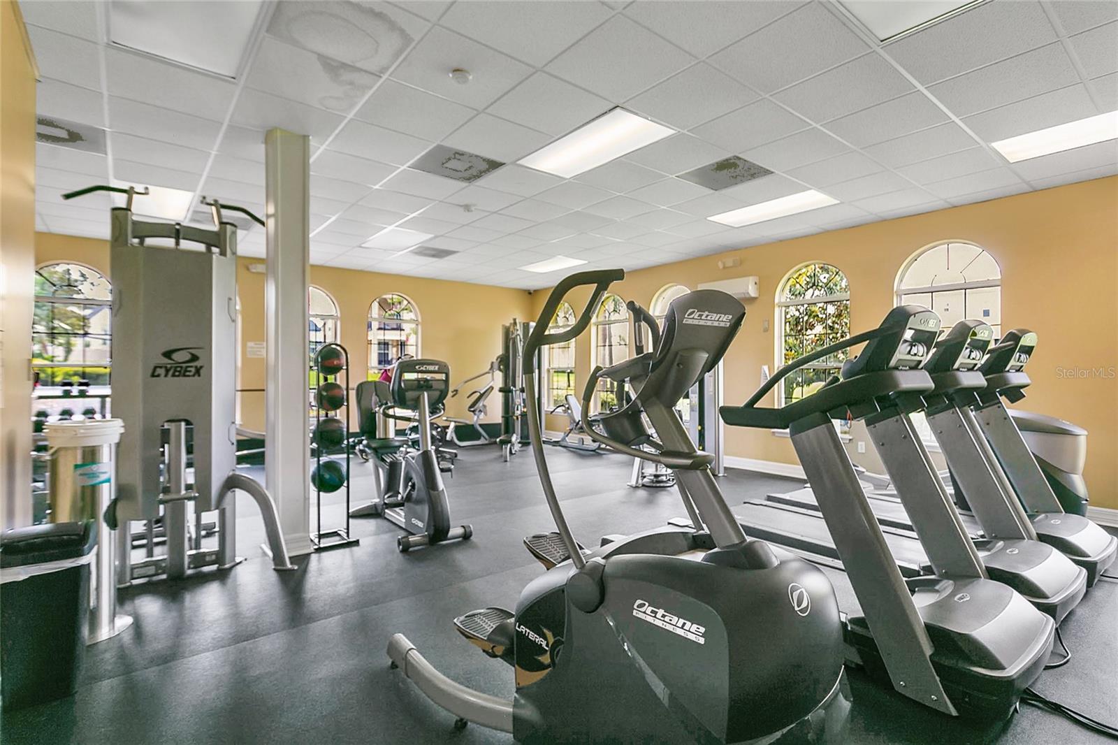 17406 CHATEAU PINE WAY, CLERMONT, FL, 34711