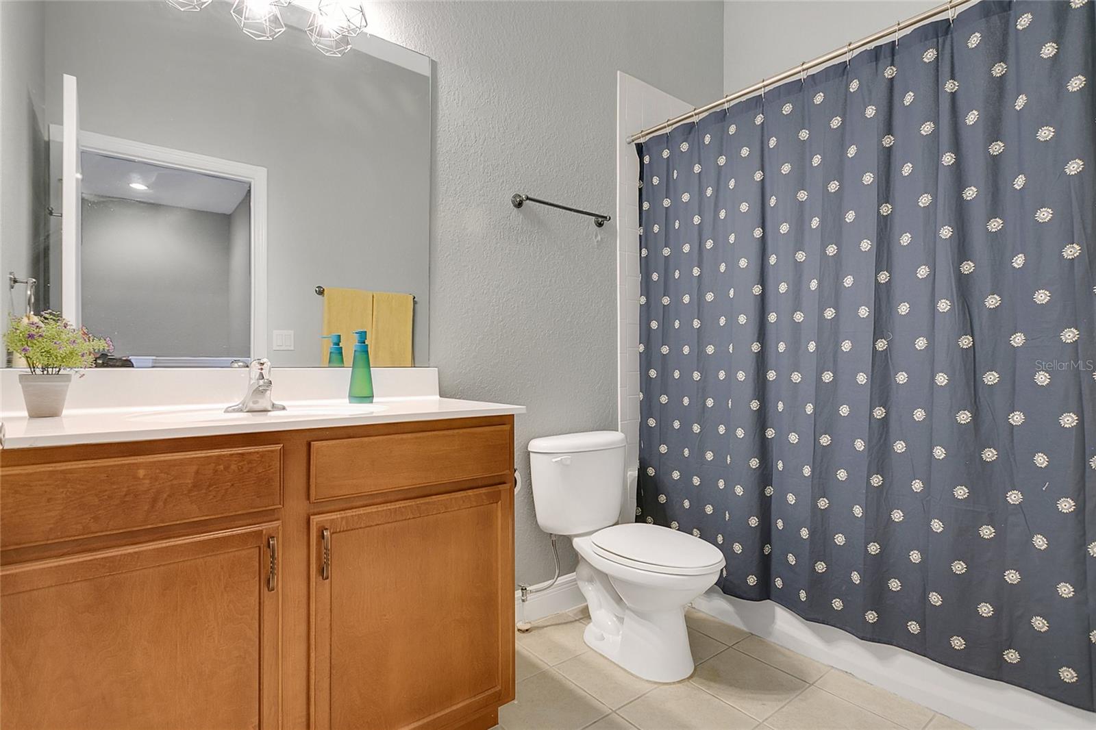 17406 CHATEAU PINE WAY, CLERMONT, FL, 34711