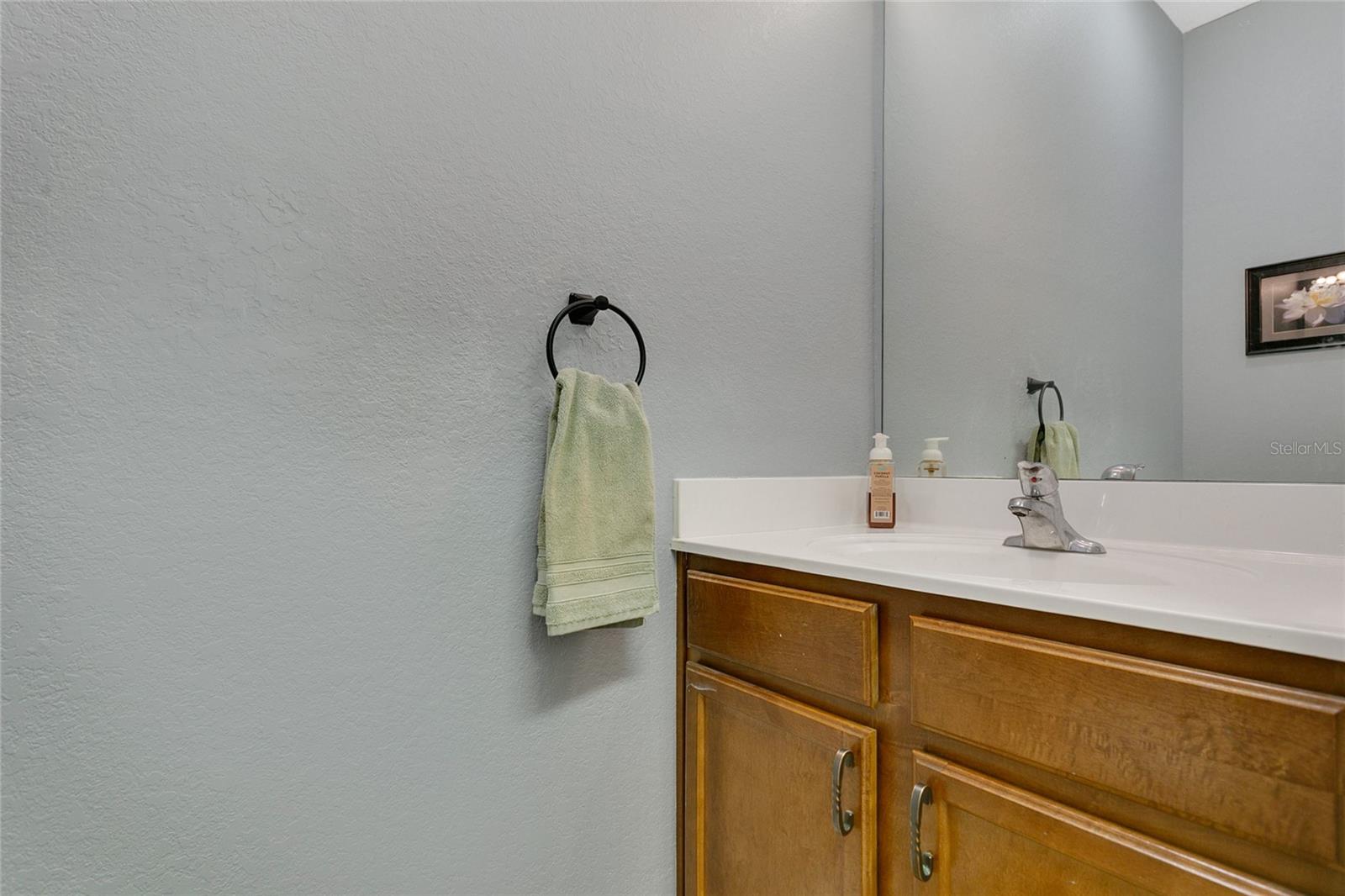 17406 CHATEAU PINE WAY, CLERMONT, FL, 34711