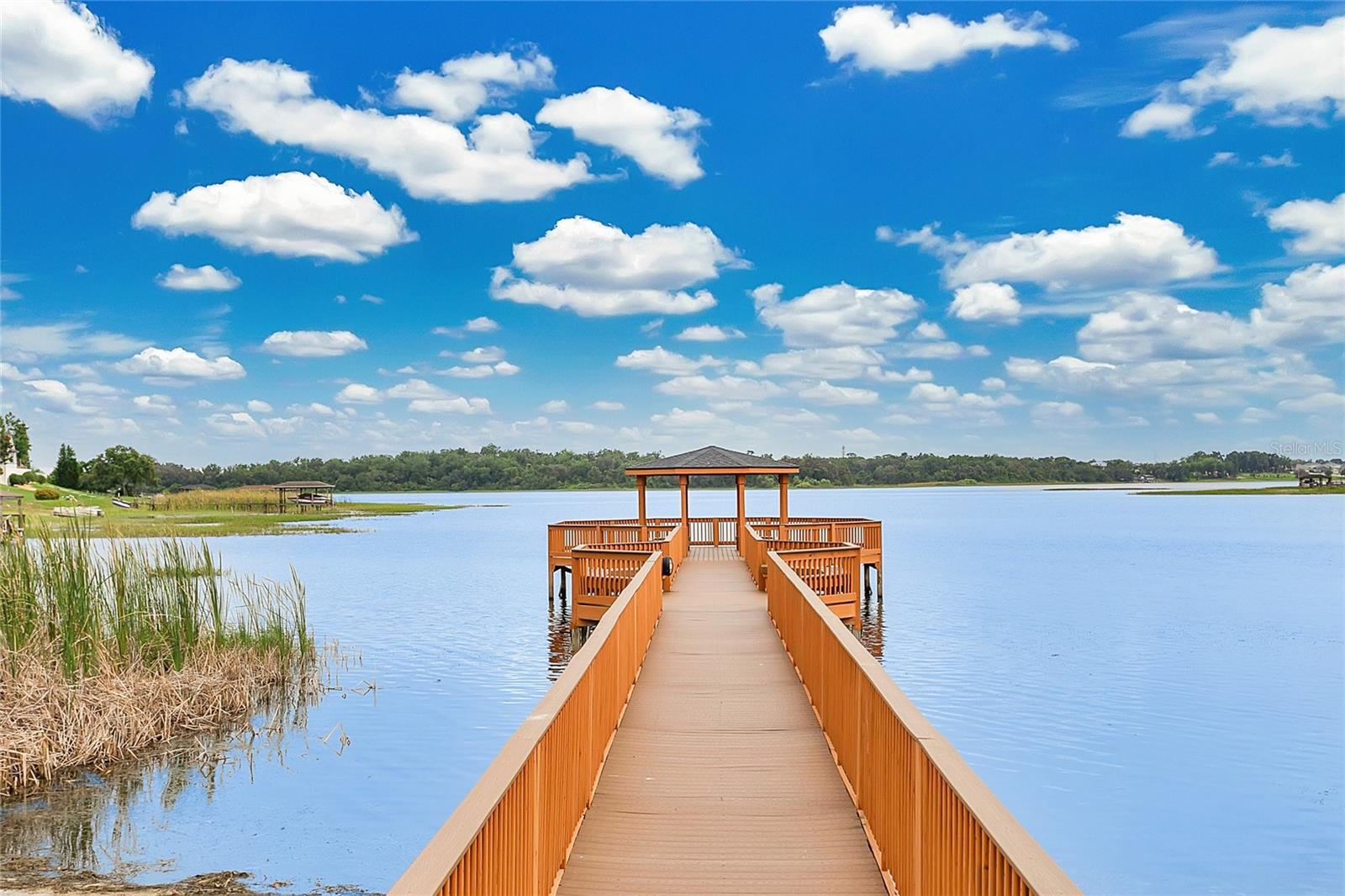 17406 CHATEAU PINE WAY, CLERMONT, FL, 34711