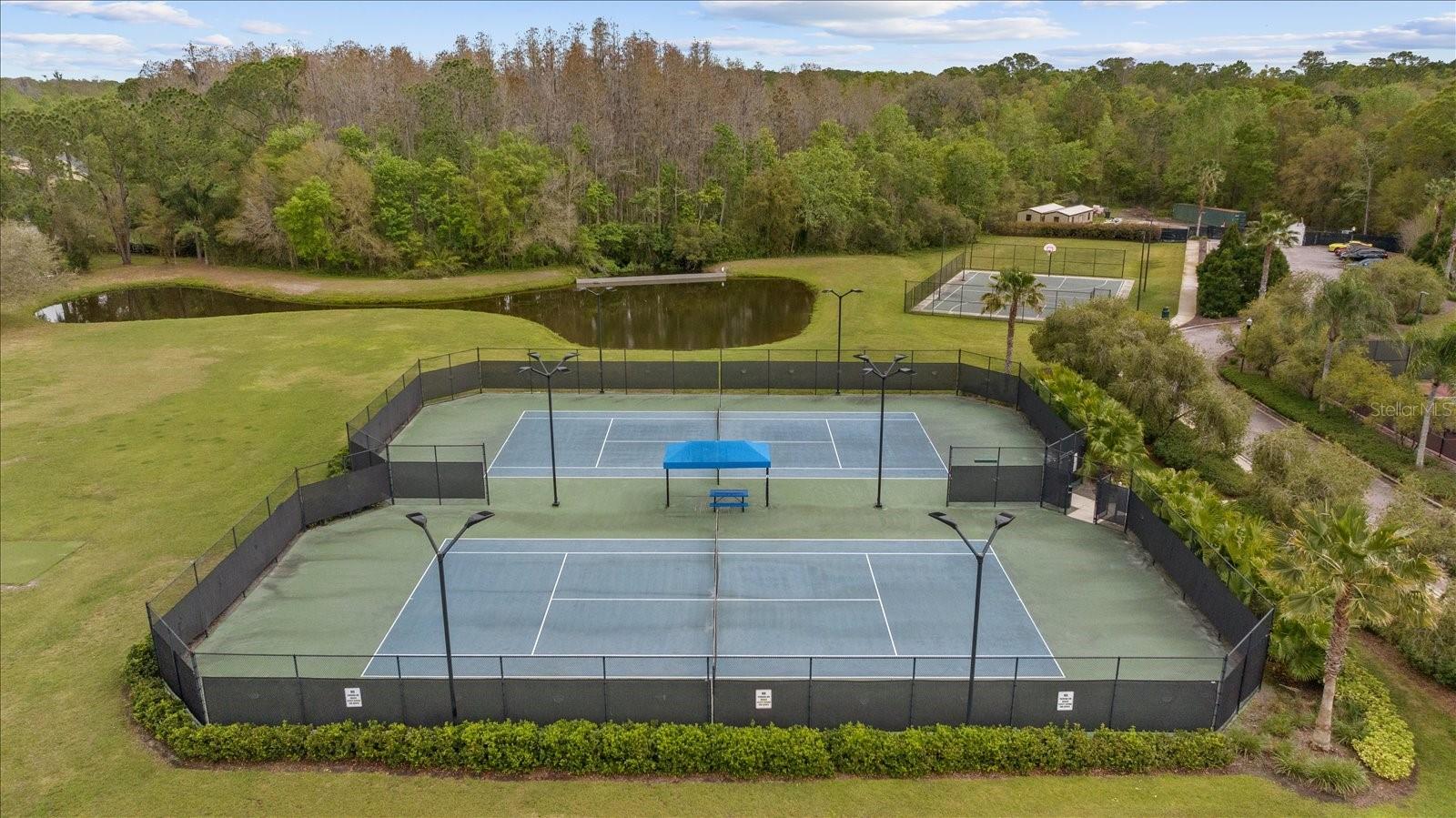 18036 JAVA ISLE DR, TAMPA, FL, 33647