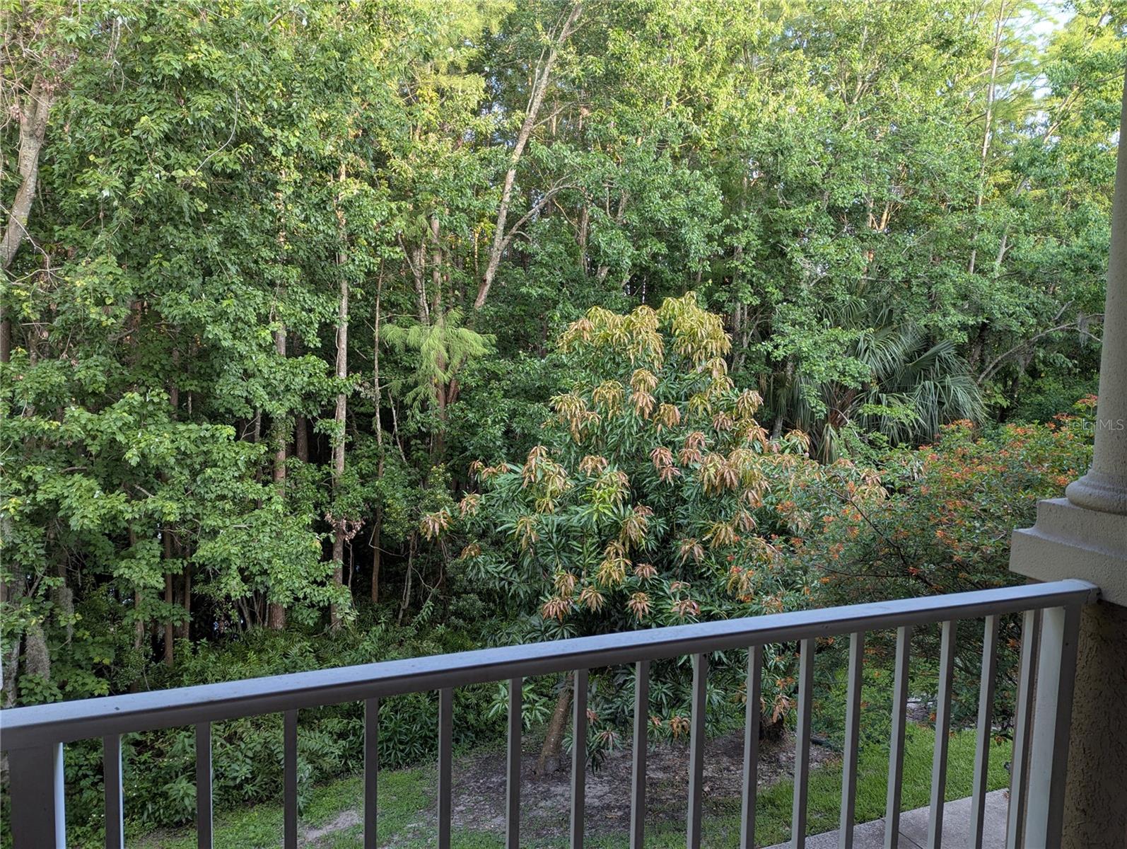 14353 FREDRICKSBURG DR #920, ORLANDO, FL, 32837