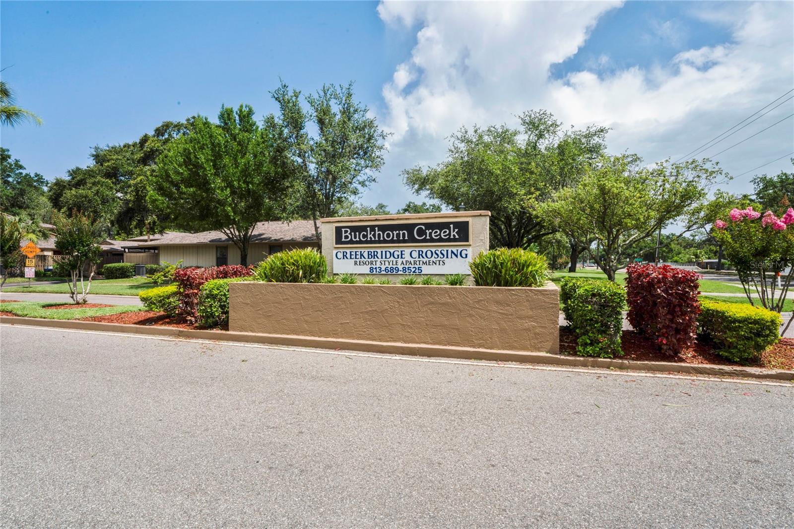 802 ANTLER CT, BRANDON, FL, 33511