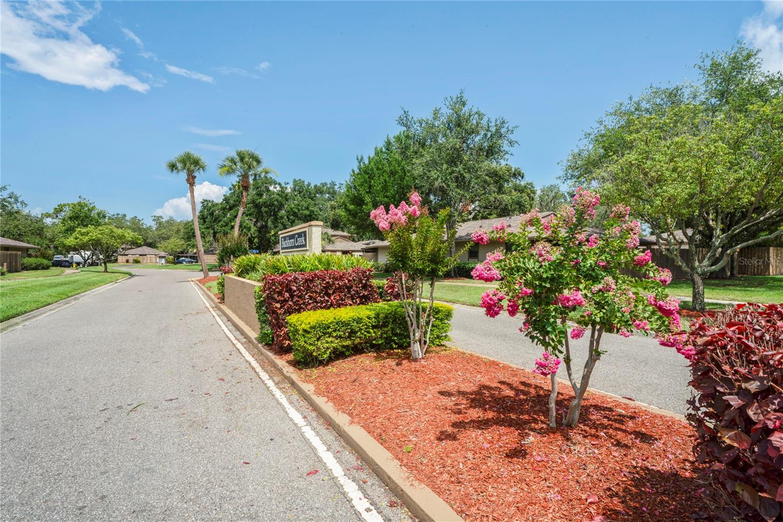 802 ANTLER CT, BRANDON, FL, 33511