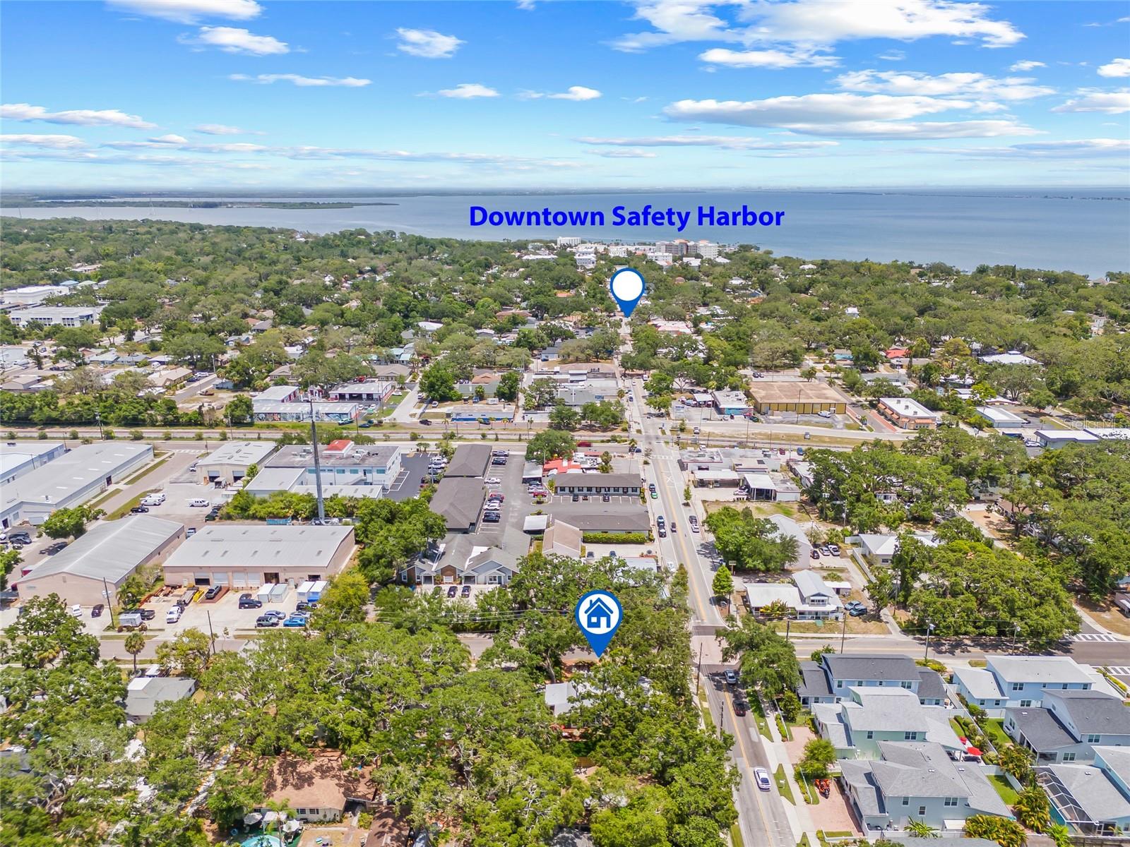 1005 MAIN ST, SAFETY HARBOR, FL, 34695