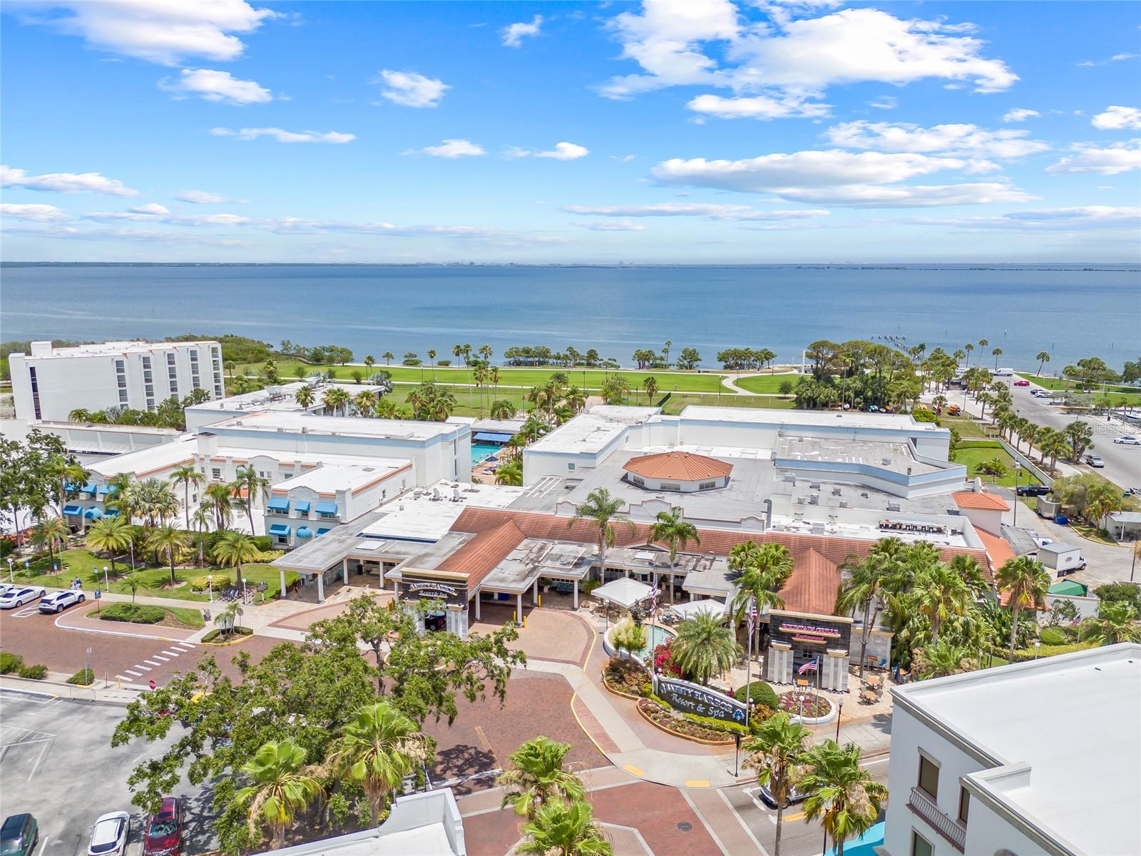 1005 MAIN ST, SAFETY HARBOR, FL, 34695