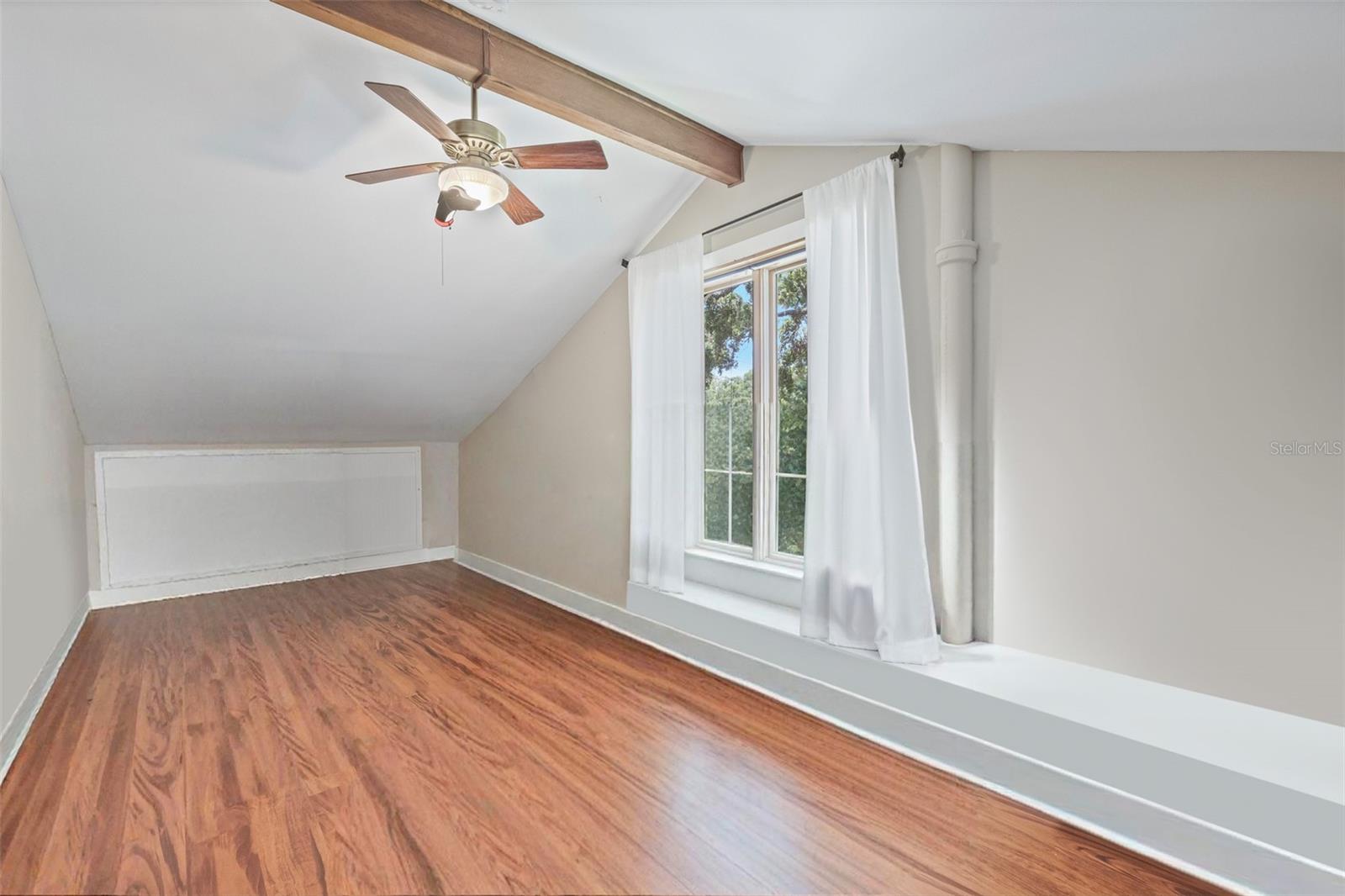 1005 MAIN ST, SAFETY HARBOR, FL, 34695