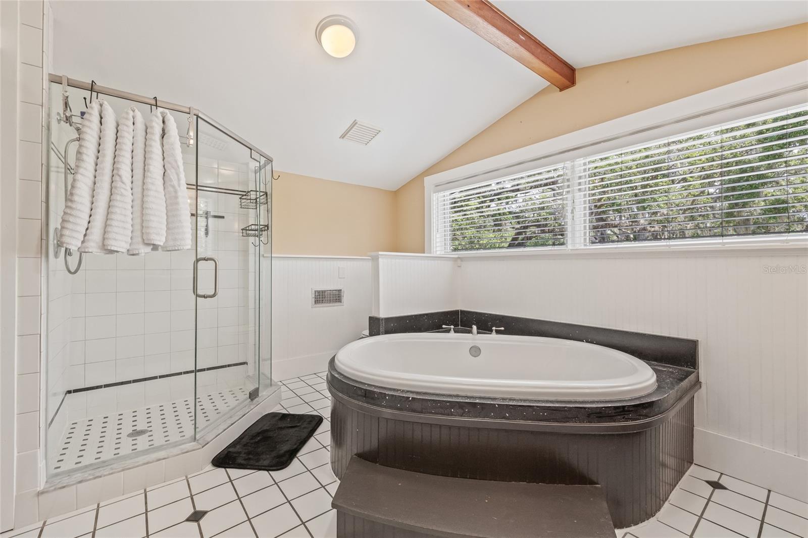 1005 MAIN ST, SAFETY HARBOR, FL, 34695