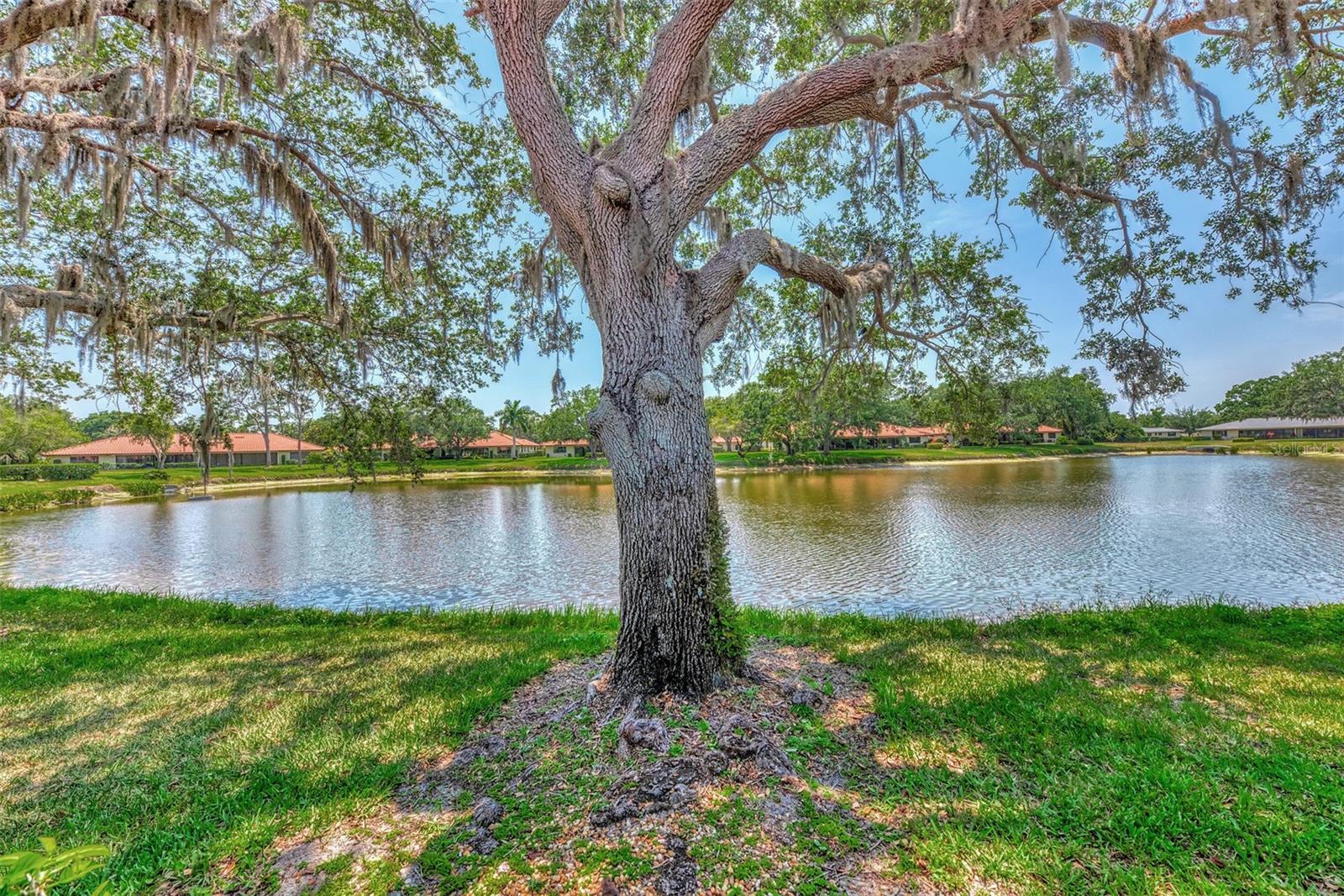 5651 GOLF POINTE DR #5651, SARASOTA, FL, 34243