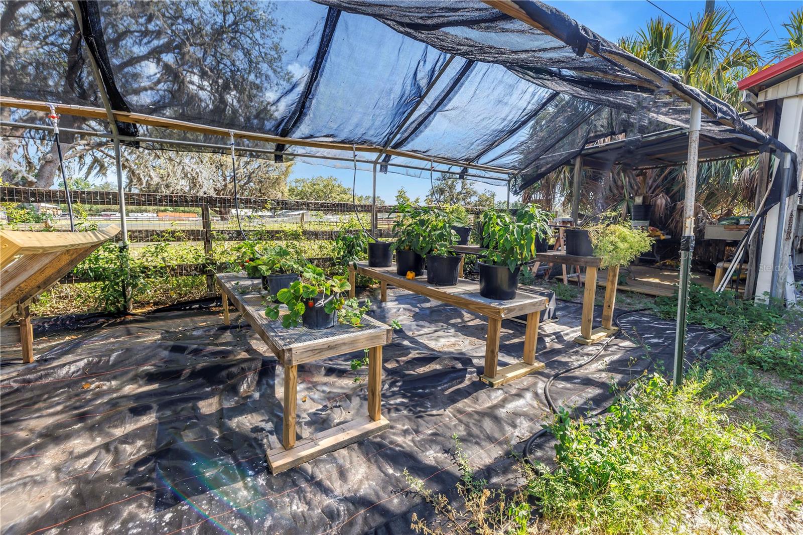 12714 TYLER RUN AVE, ODESSA, FL, 33556