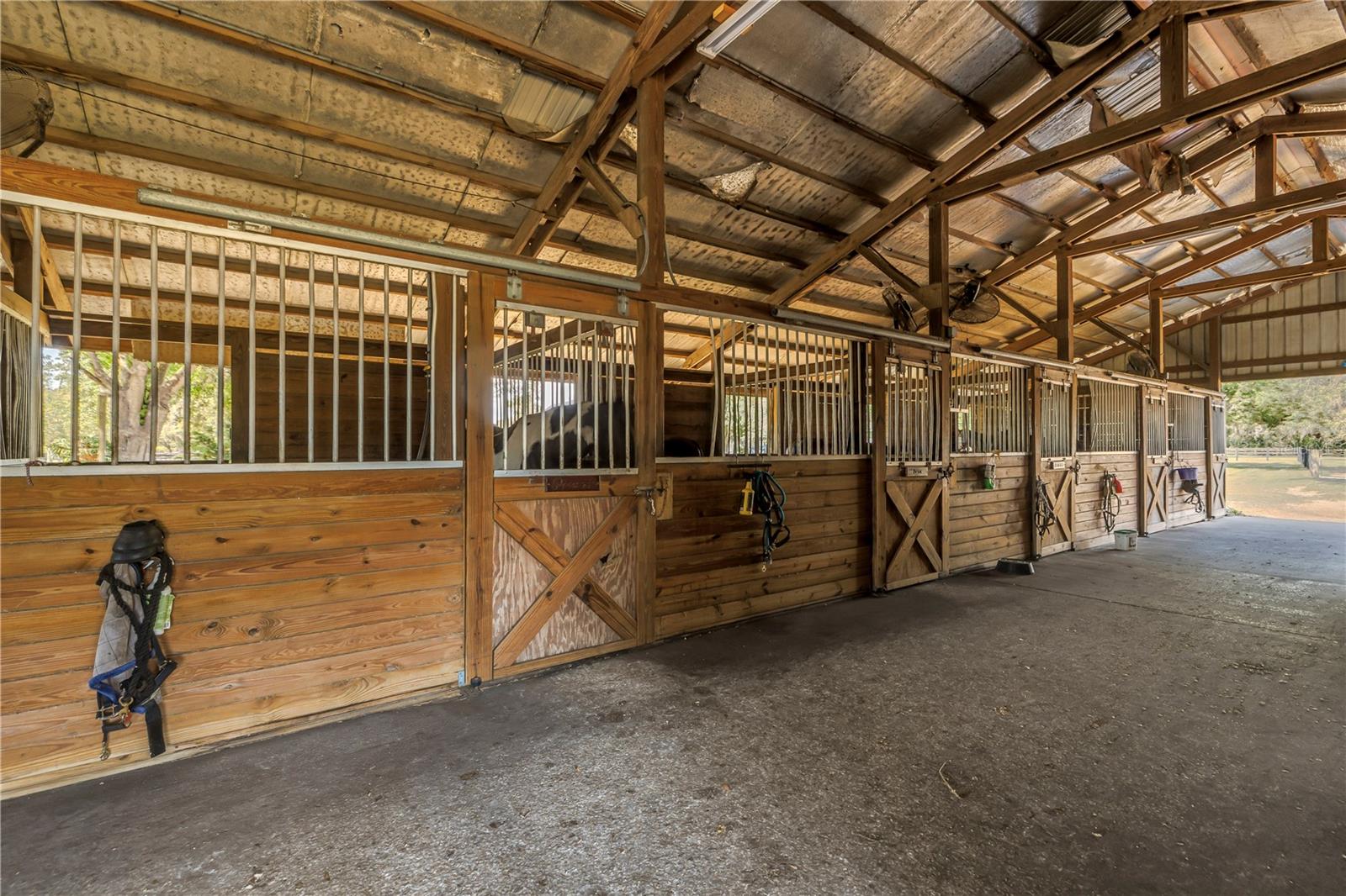 12714 TYLER RUN AVE, ODESSA, FL, 33556