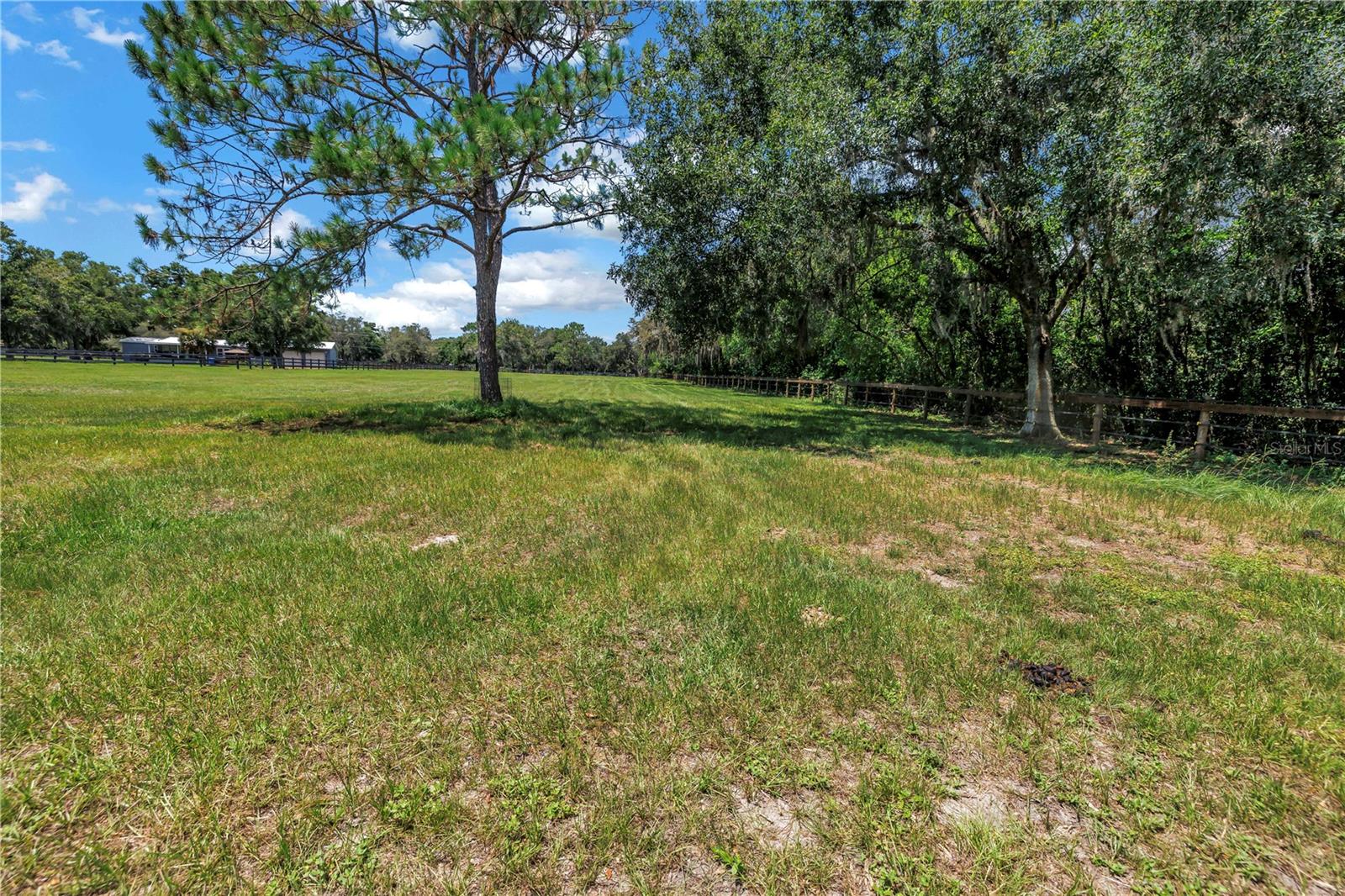 12714 TYLER RUN AVE, ODESSA, FL, 33556