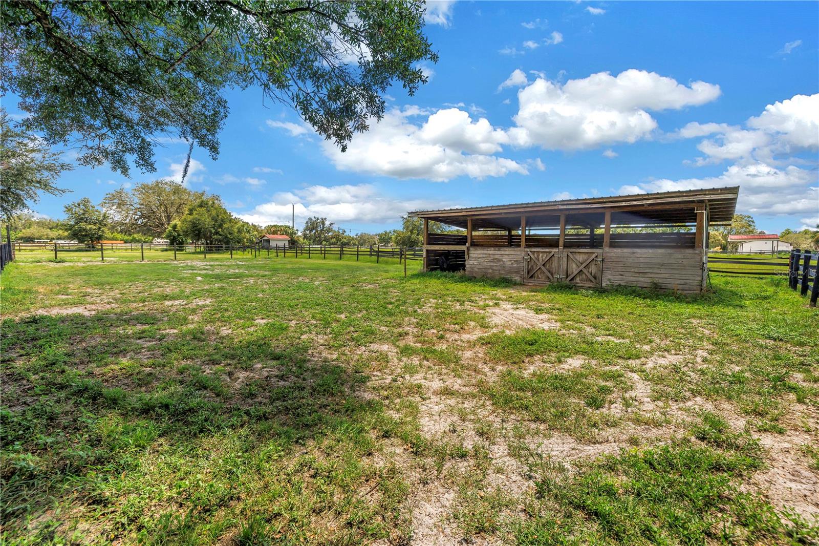 12714 TYLER RUN AVE, ODESSA, FL, 33556