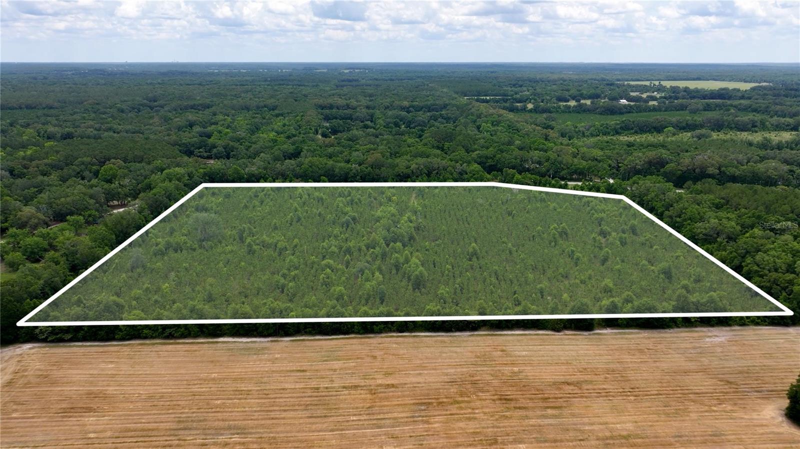 CR 235, NEWBERRY, FL, 32669