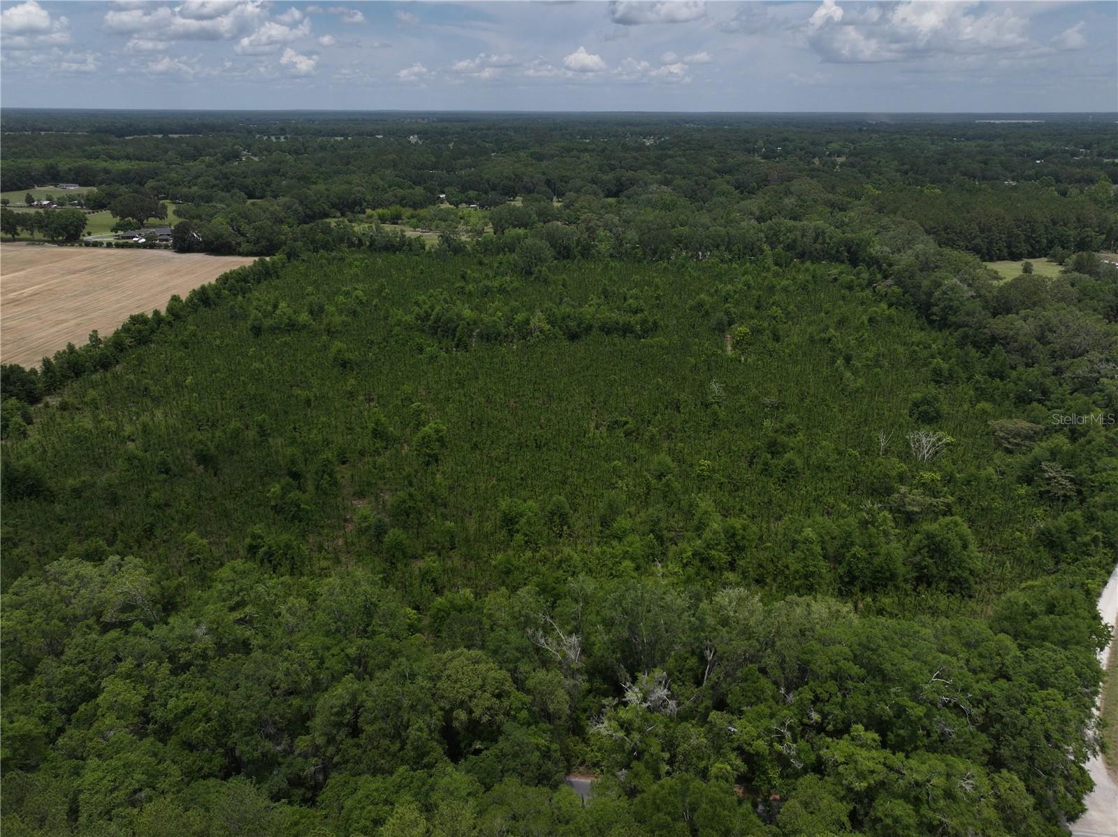 CR 235, NEWBERRY, FL, 32669