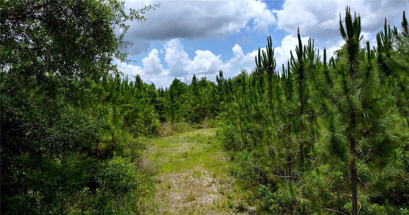 CR 235, NEWBERRY, FL, 32669