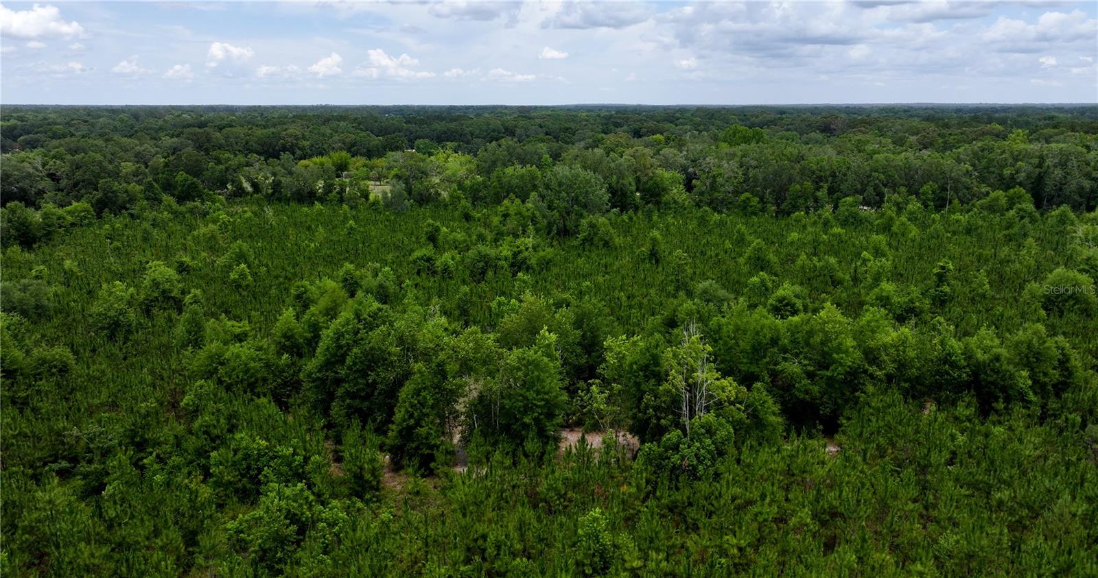 CR 235, NEWBERRY, FL, 32669