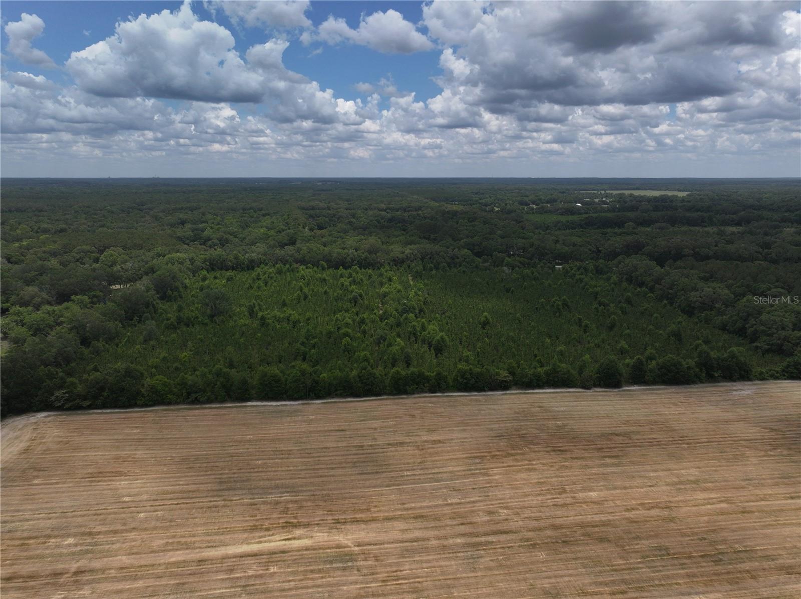 CR 235, NEWBERRY, FL, 32669