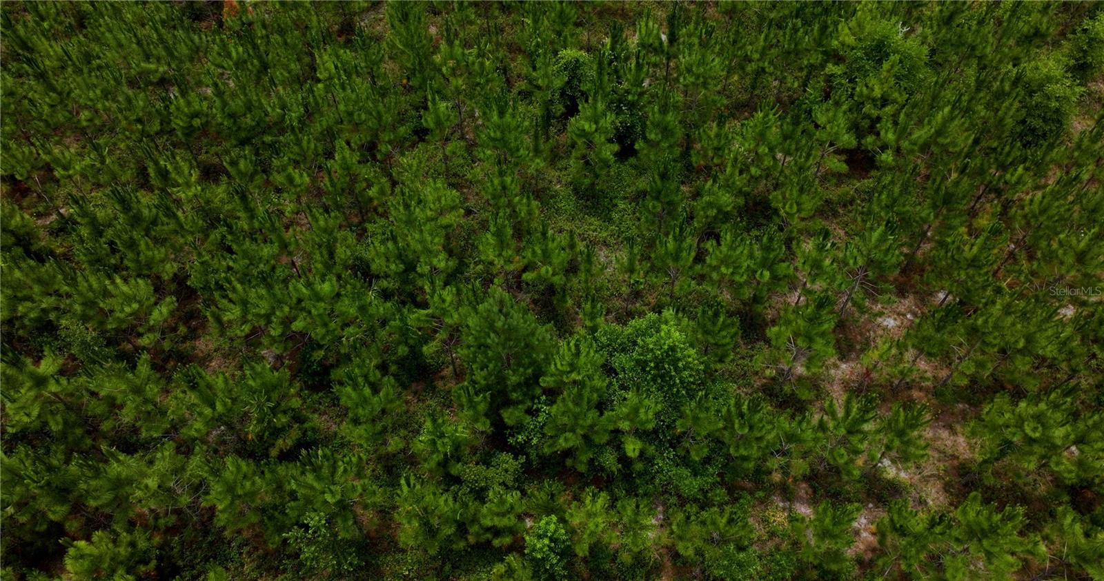 CR 235, NEWBERRY, FL, 32669