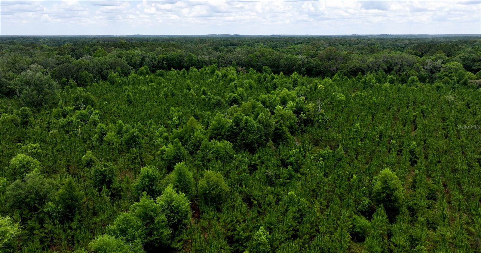 CR 235, NEWBERRY, FL, 32669