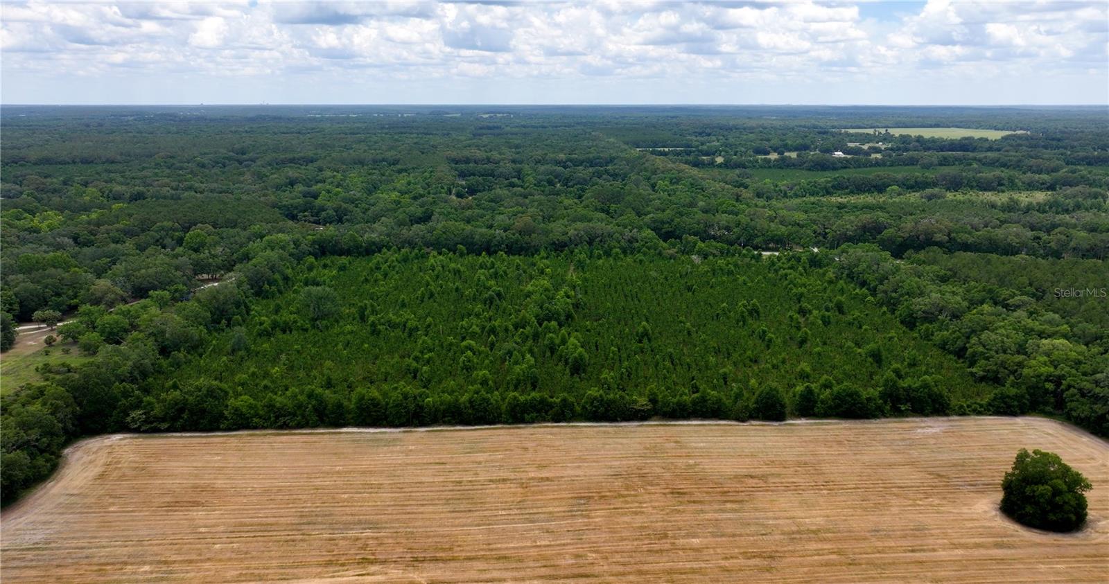 CR 235, NEWBERRY, FL, 32669