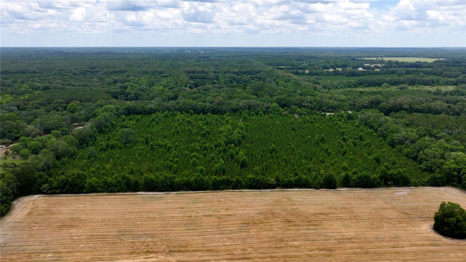 CR 235, NEWBERRY, FL, 32669