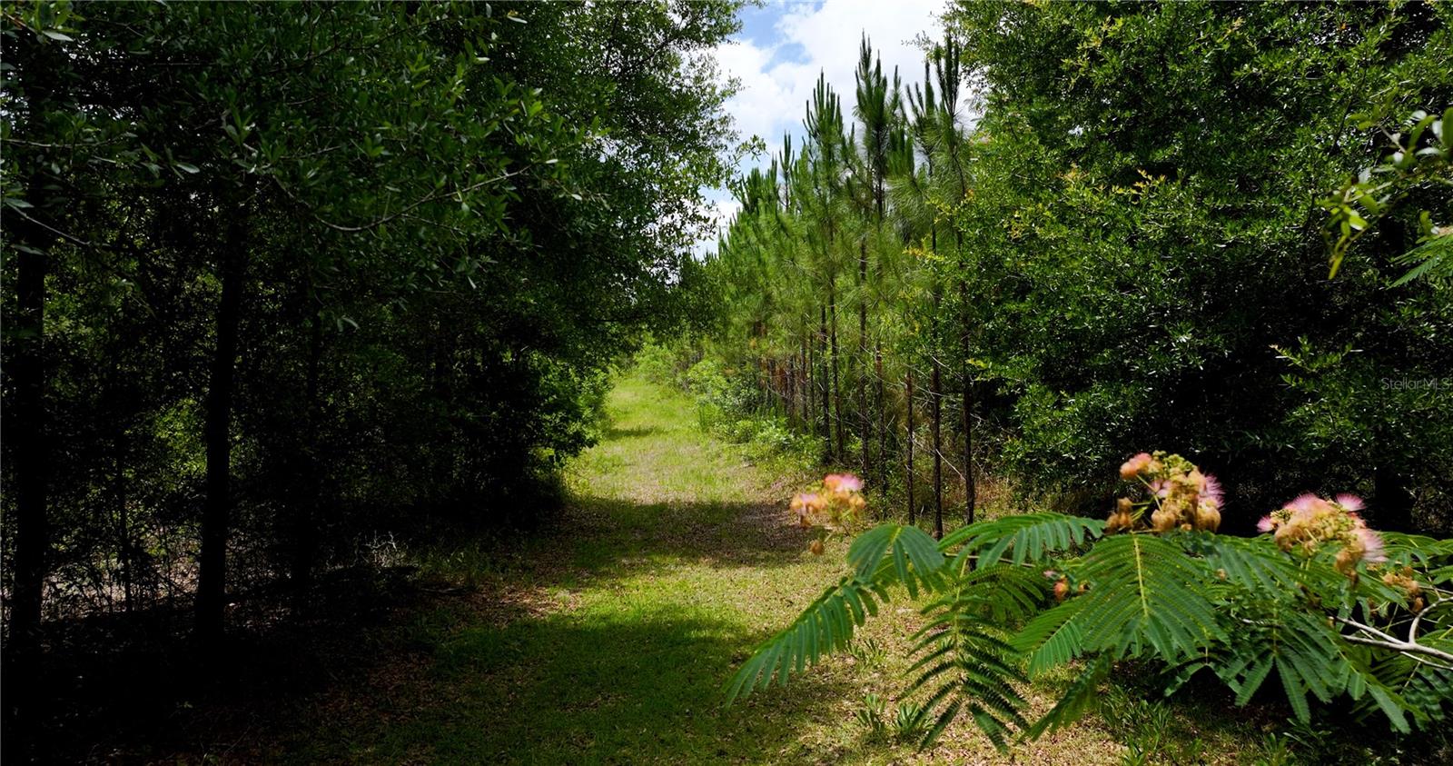 CR 235, NEWBERRY, FL, 32669