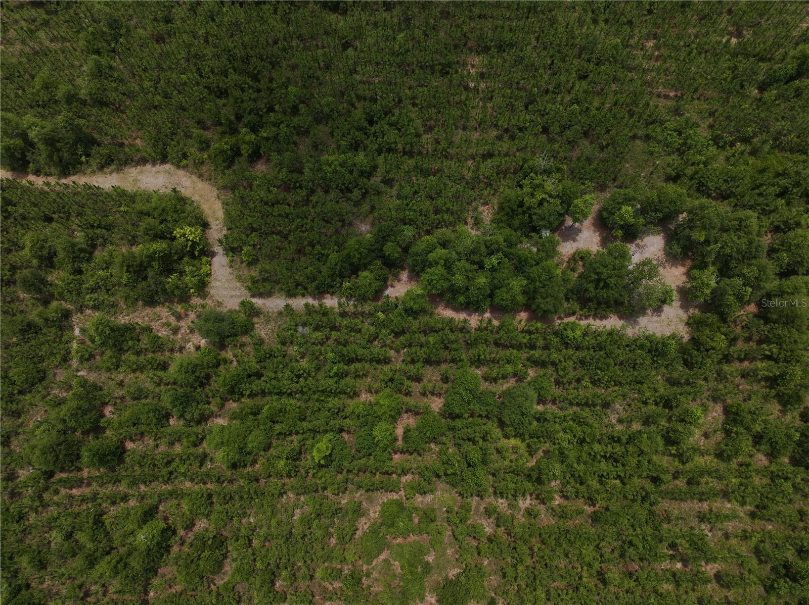 CR 235, NEWBERRY, FL, 32669