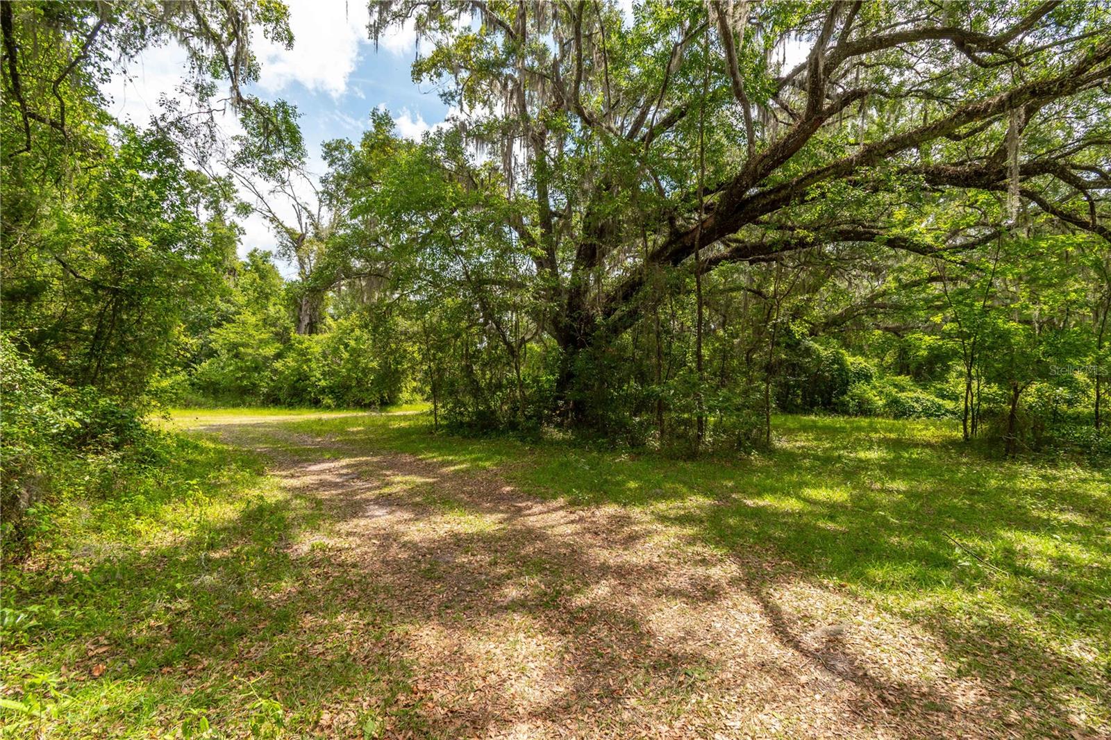 13586 N US HIGHWAY 27, OCALA, FL, 34482