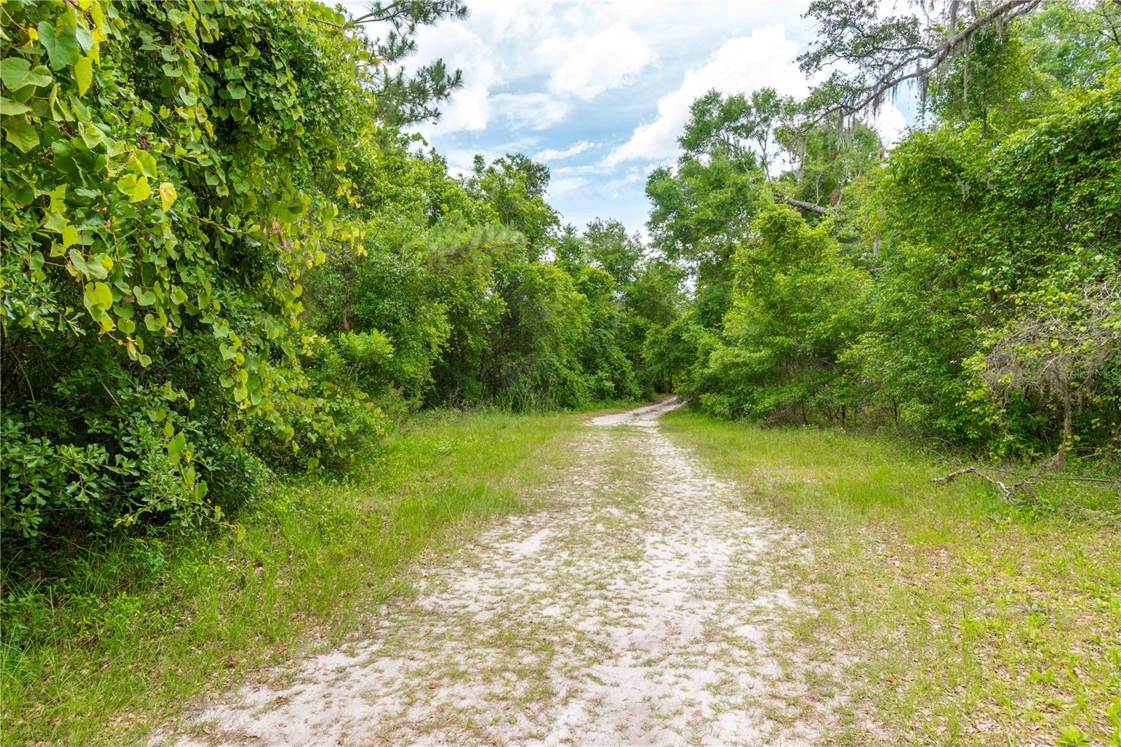 13586 N US HIGHWAY 27, OCALA, FL, 34482