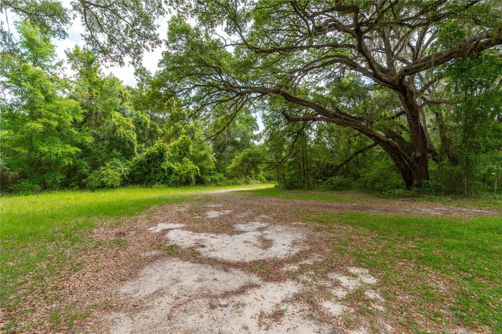 13586 N US HIGHWAY 27, OCALA, FL, 34482