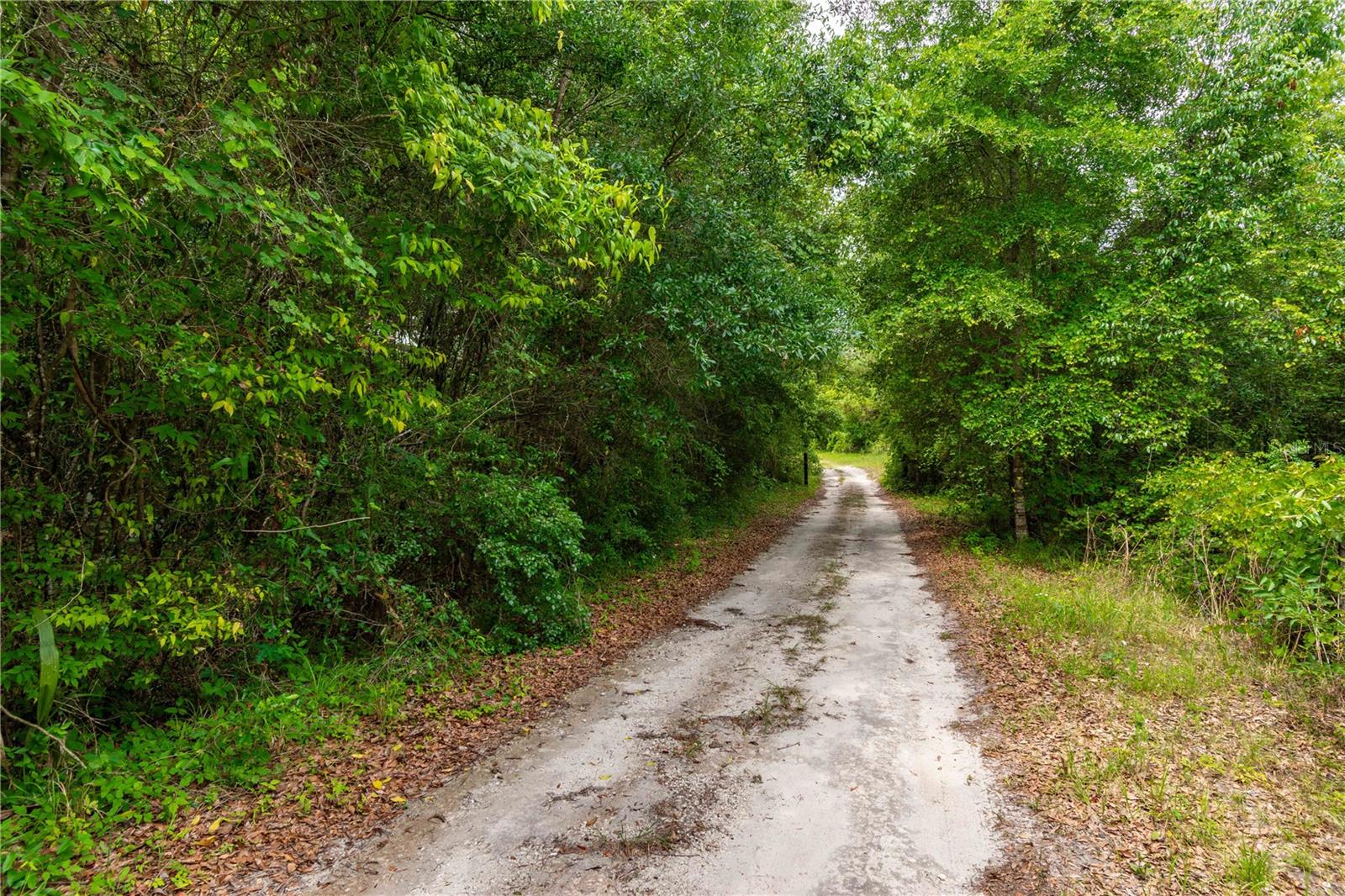 13586 N US HIGHWAY 27, OCALA, FL, 34482