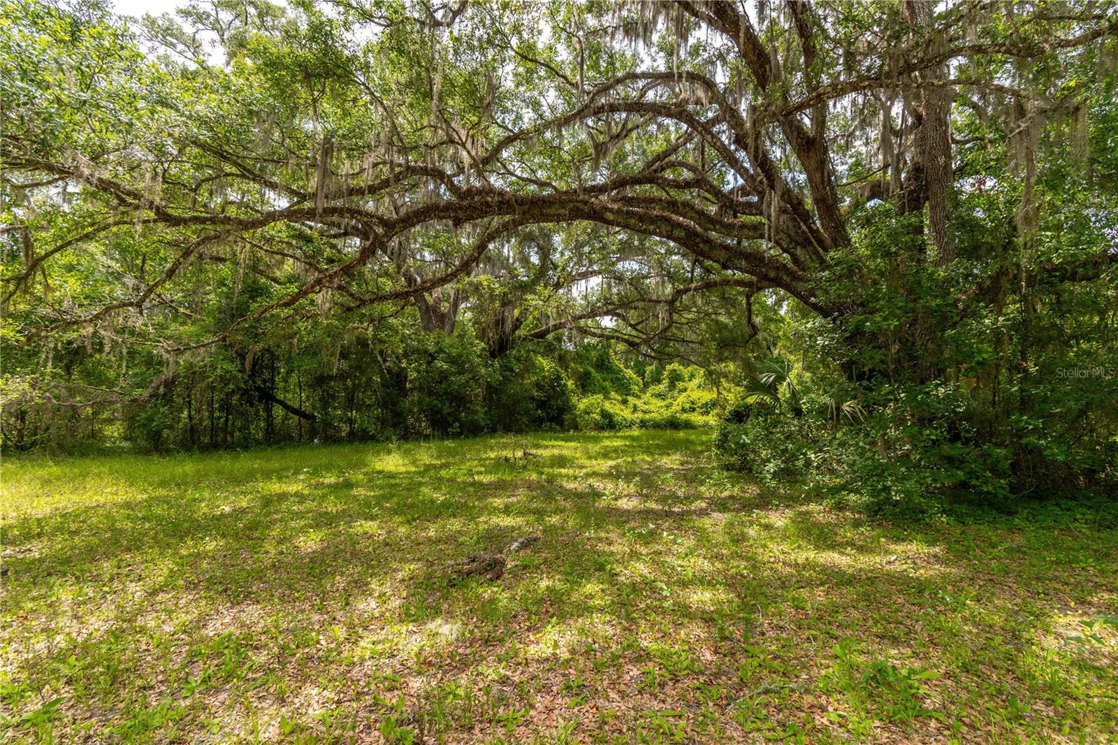 13586 N US HIGHWAY 27, OCALA, FL, 34482