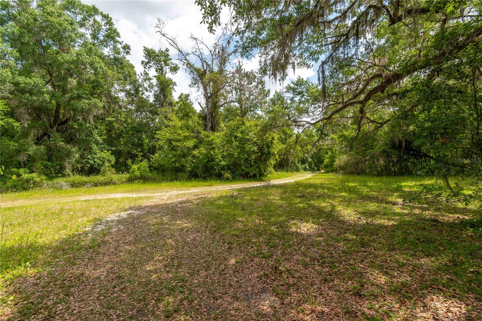 13586 N US HIGHWAY 27, OCALA, FL, 34482