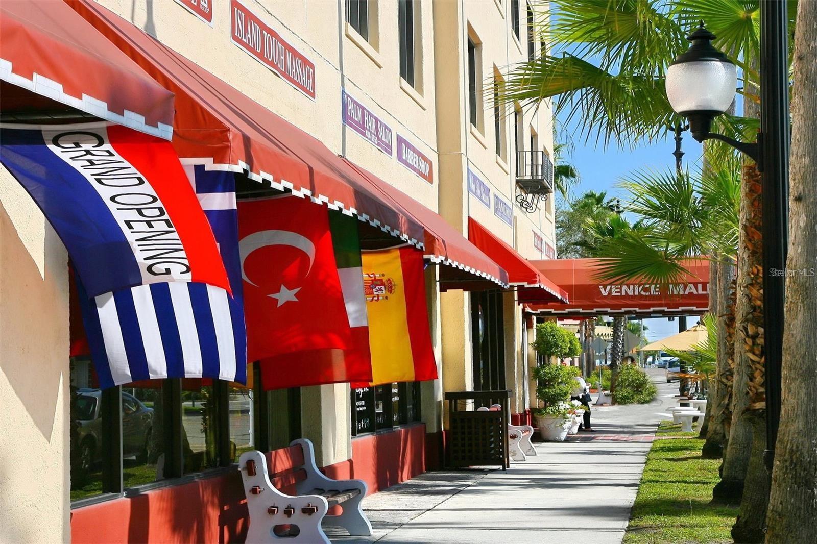 232 SOUTHAMPTON LN #259, VENICE, FL, 34293