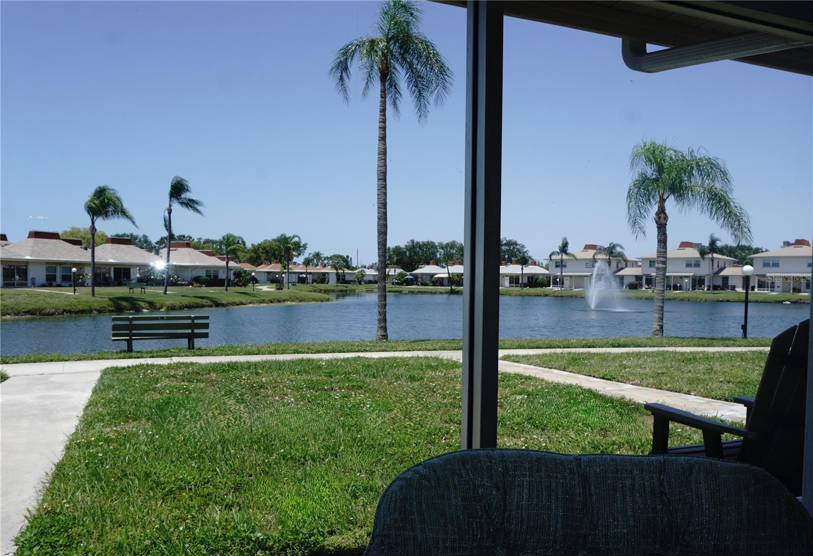 View from Living Room