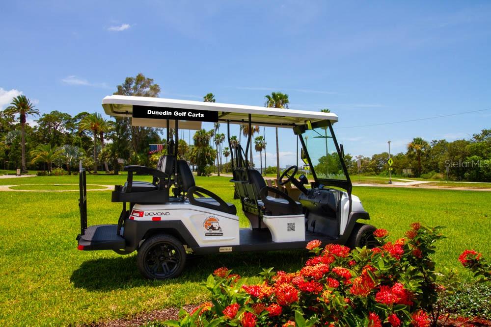 2631 ST JOSEPHS DR W, DUNEDIN, FL, 34698