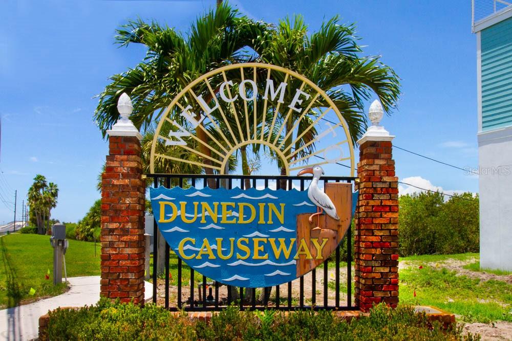 2631 ST JOSEPHS DR W, DUNEDIN, FL, 34698