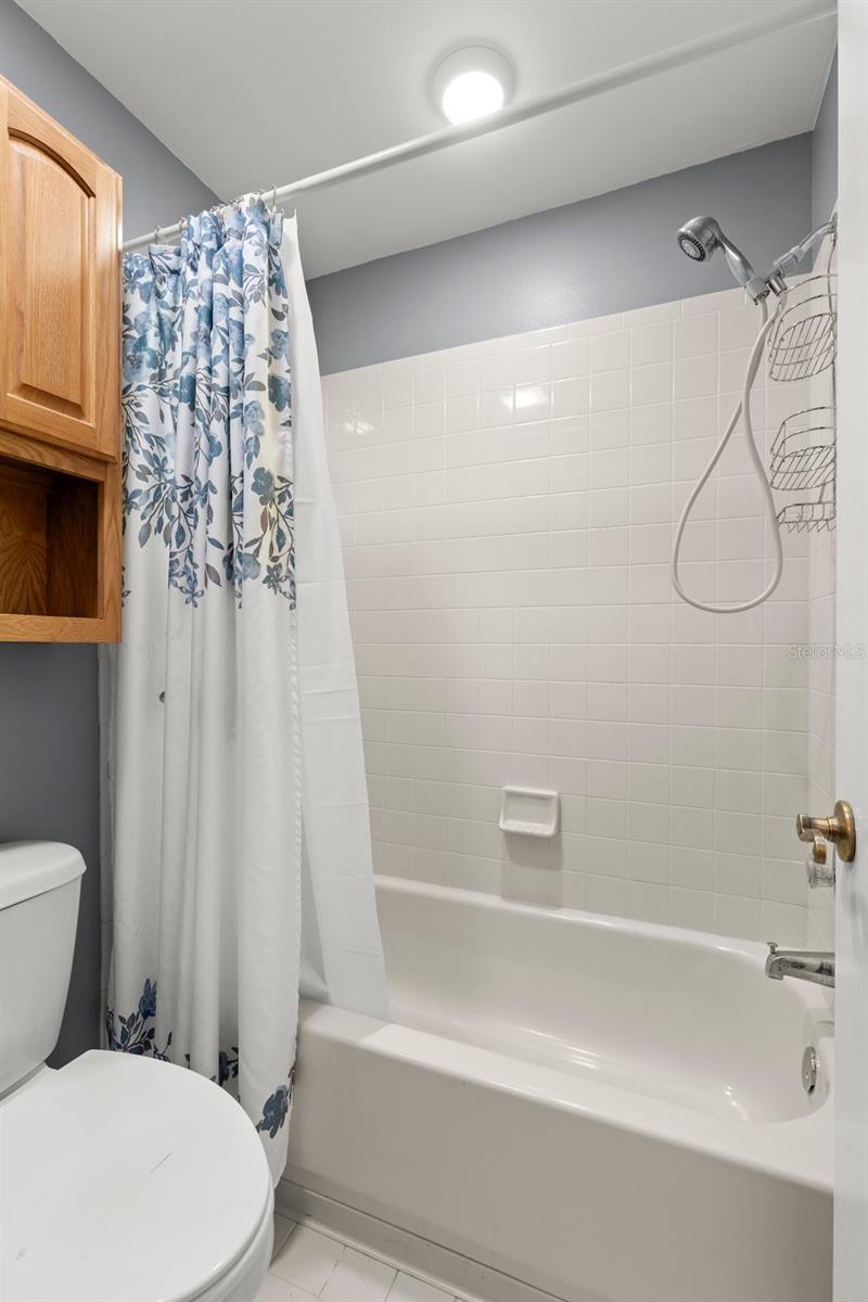 5100 BURCHETTE RD #2702, TAMPA, FL, 33647