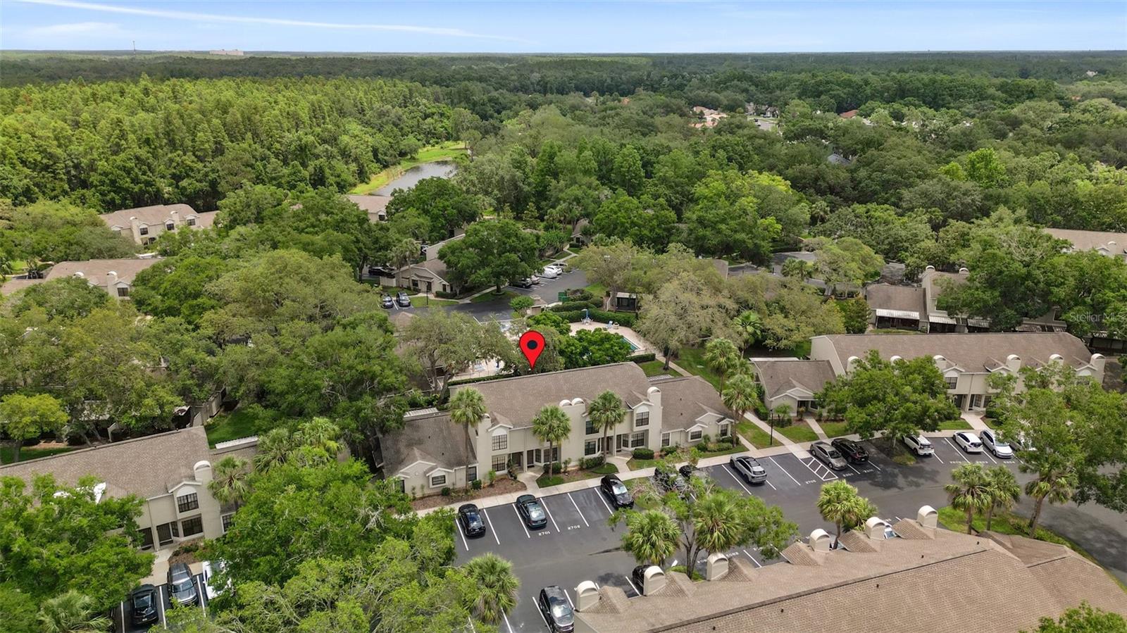 5100 BURCHETTE RD #2702, TAMPA, FL, 33647