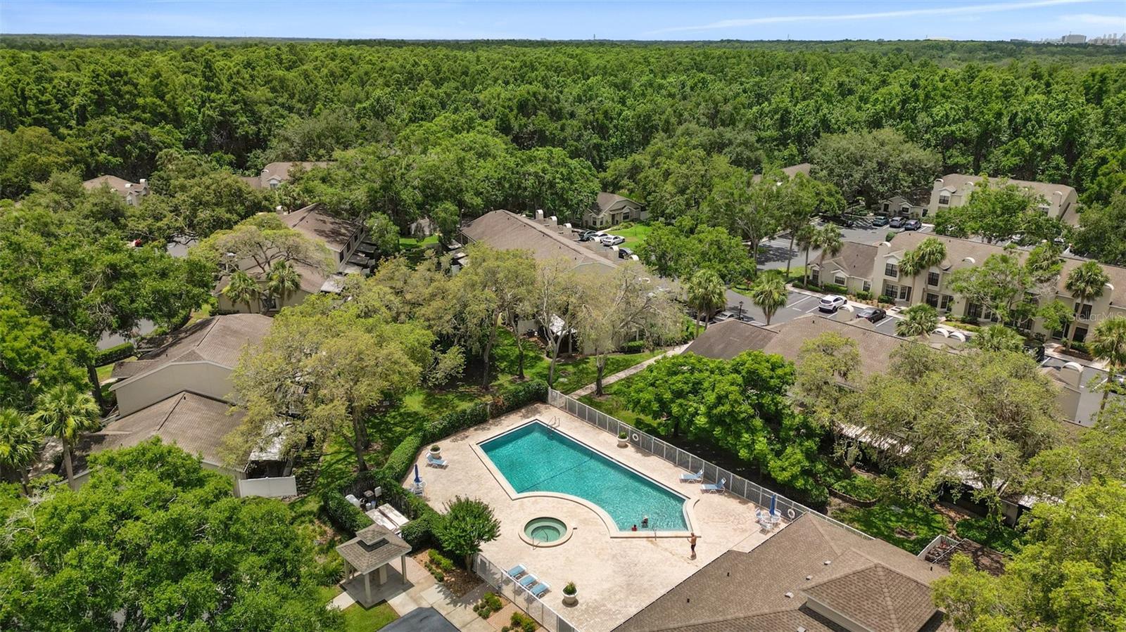 5100 BURCHETTE RD #2702, TAMPA, FL, 33647